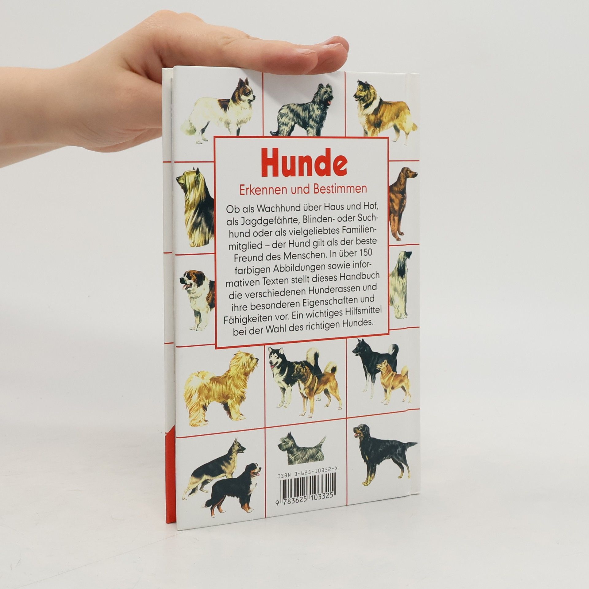 Wendy Boorer Hunde