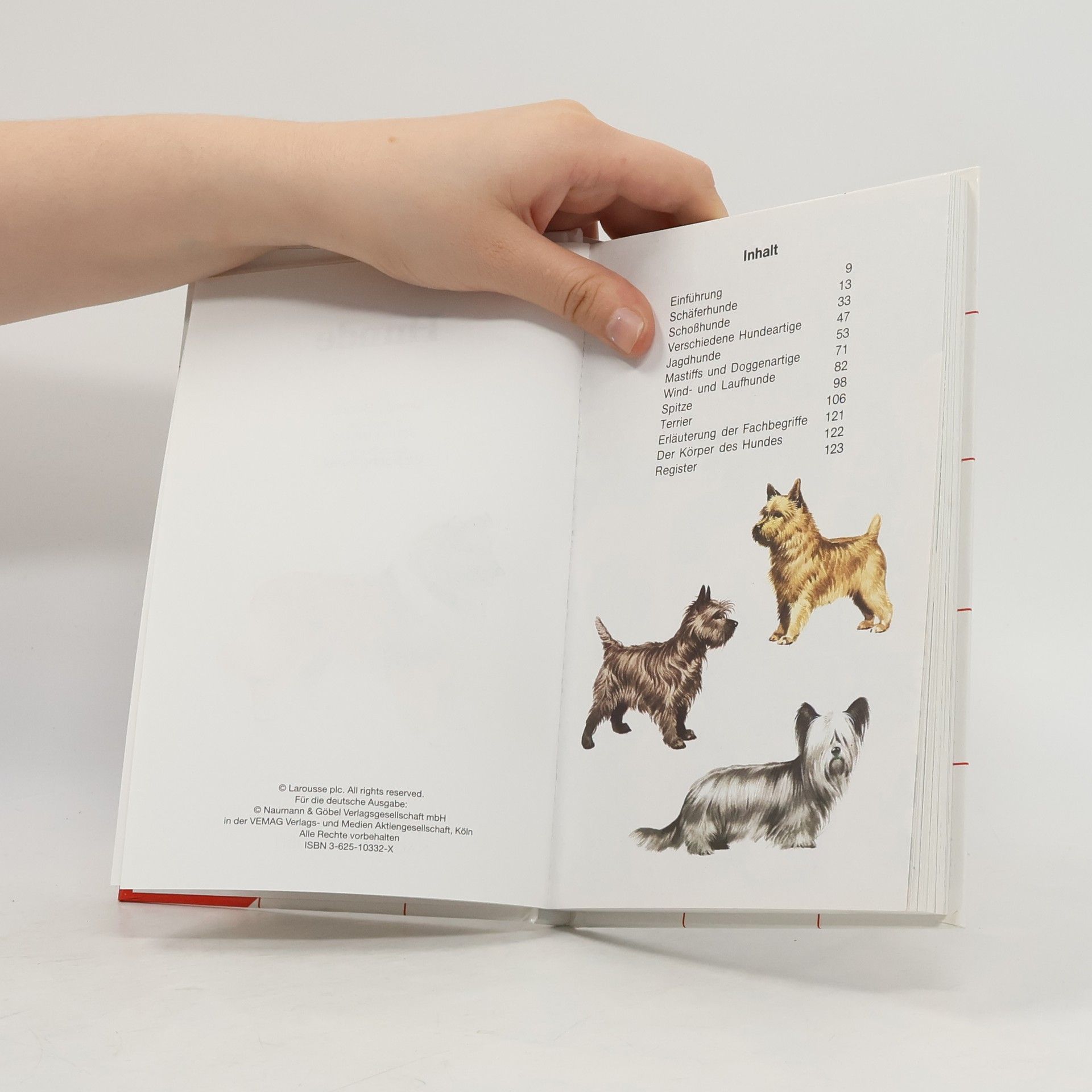 Wendy Boorer Hunde