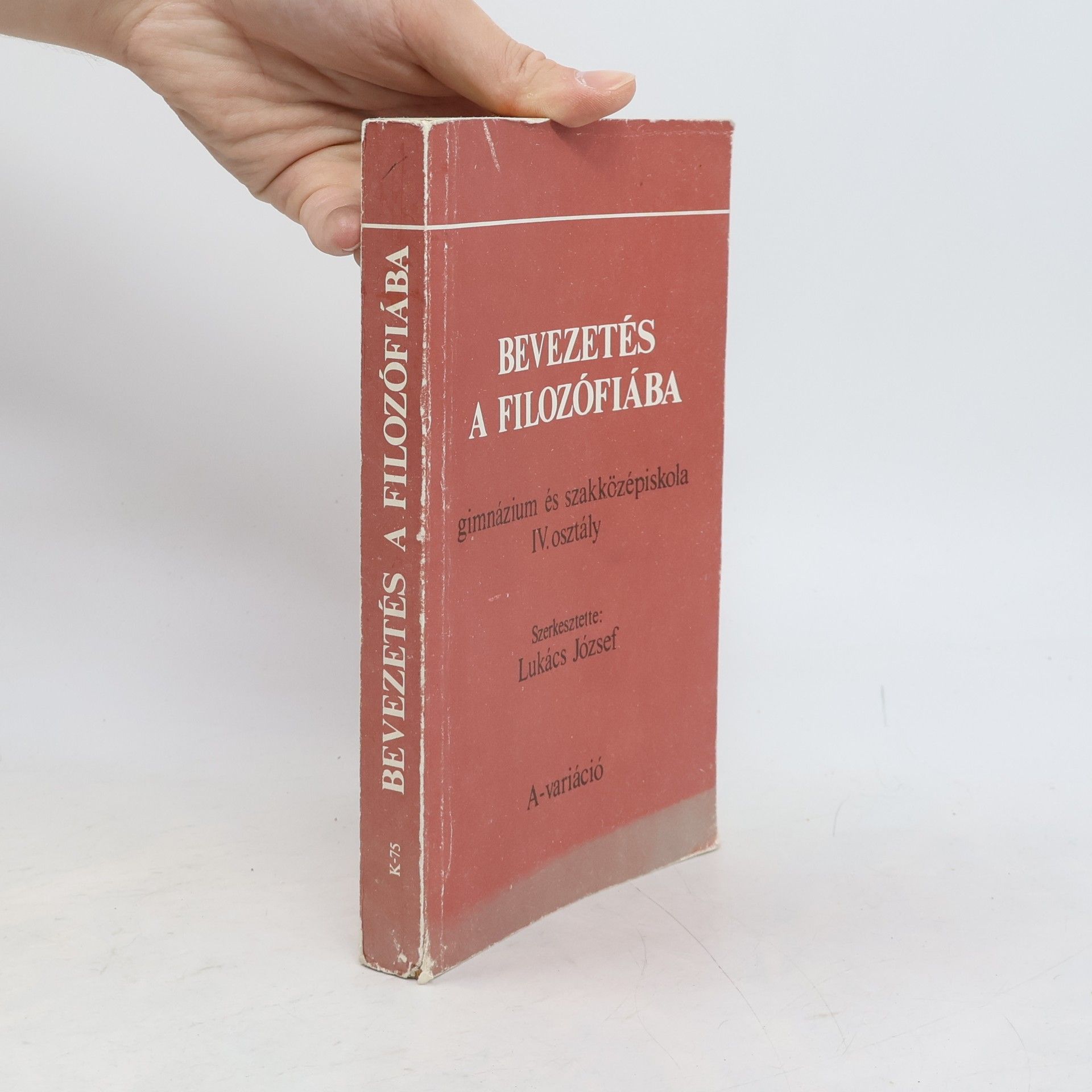 József Lukács Bevezetés a filosófiába