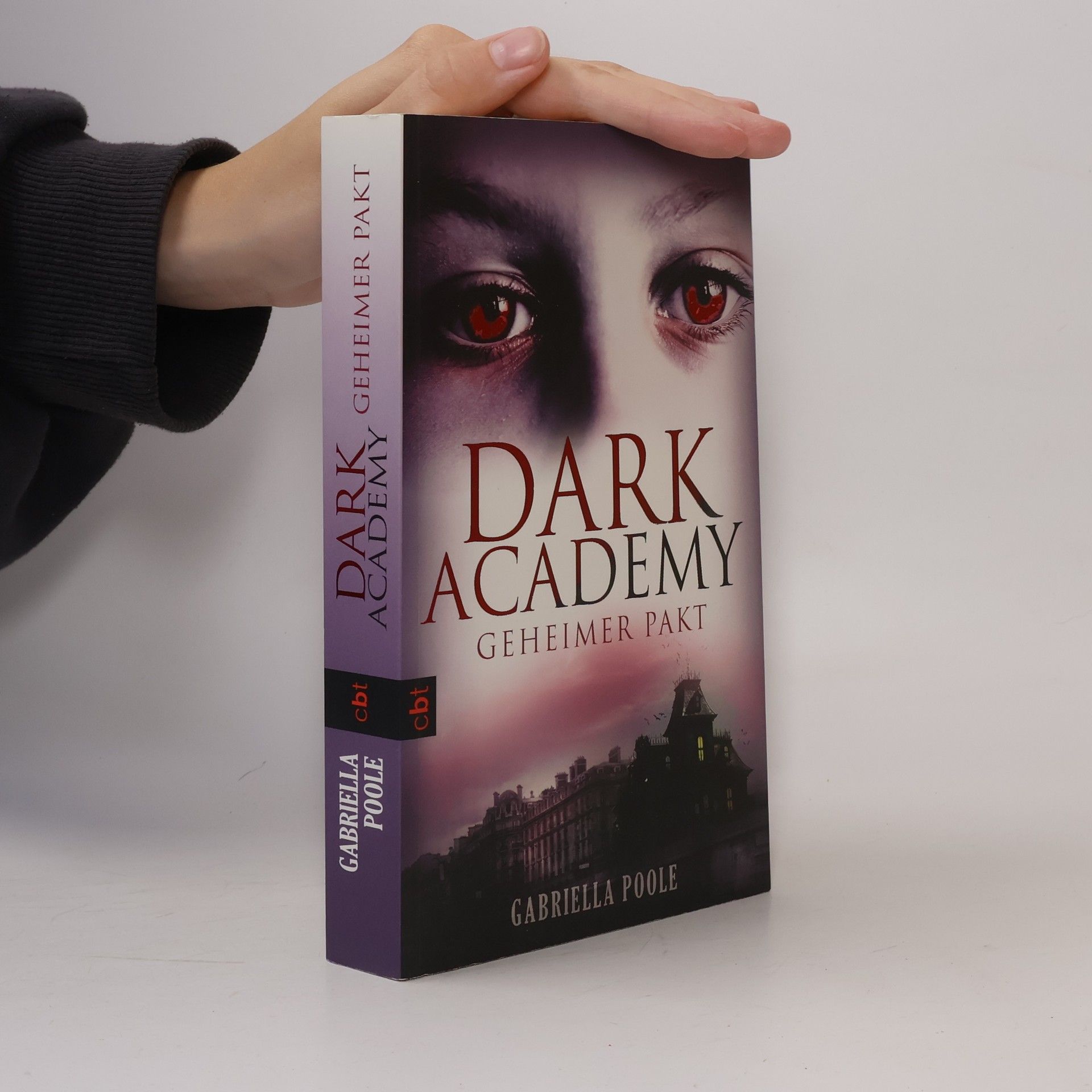 Gillian Philip Dark Academy - Geheimer Pakt. Band 1