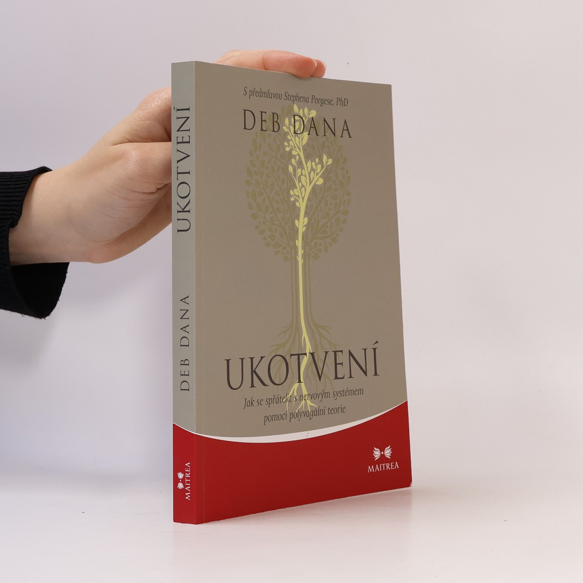 Deb Dana Ukotvení. Jak se spřátelit s nervovým systémem pomocí polyvagální teorie