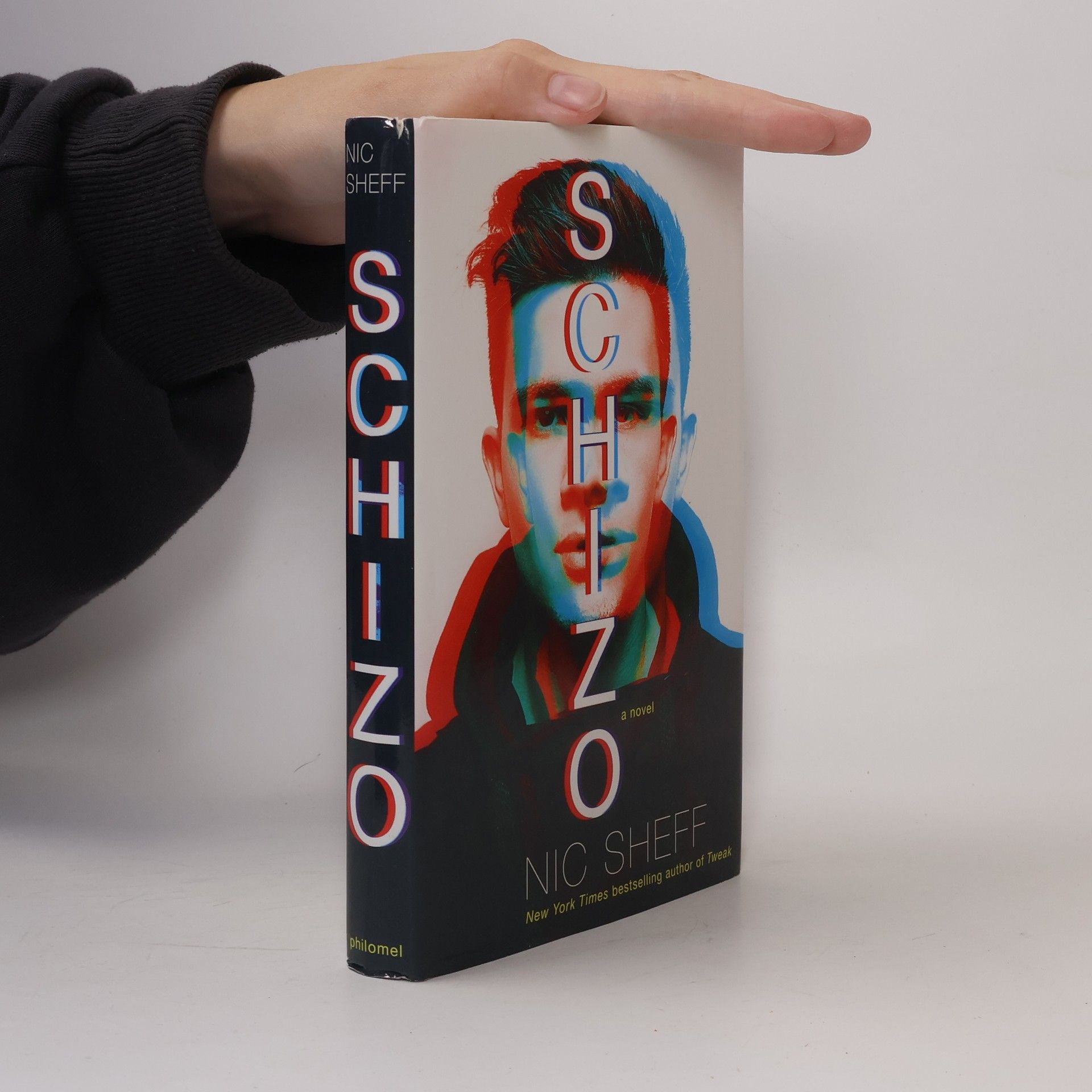 Nic Sheff Schizo
