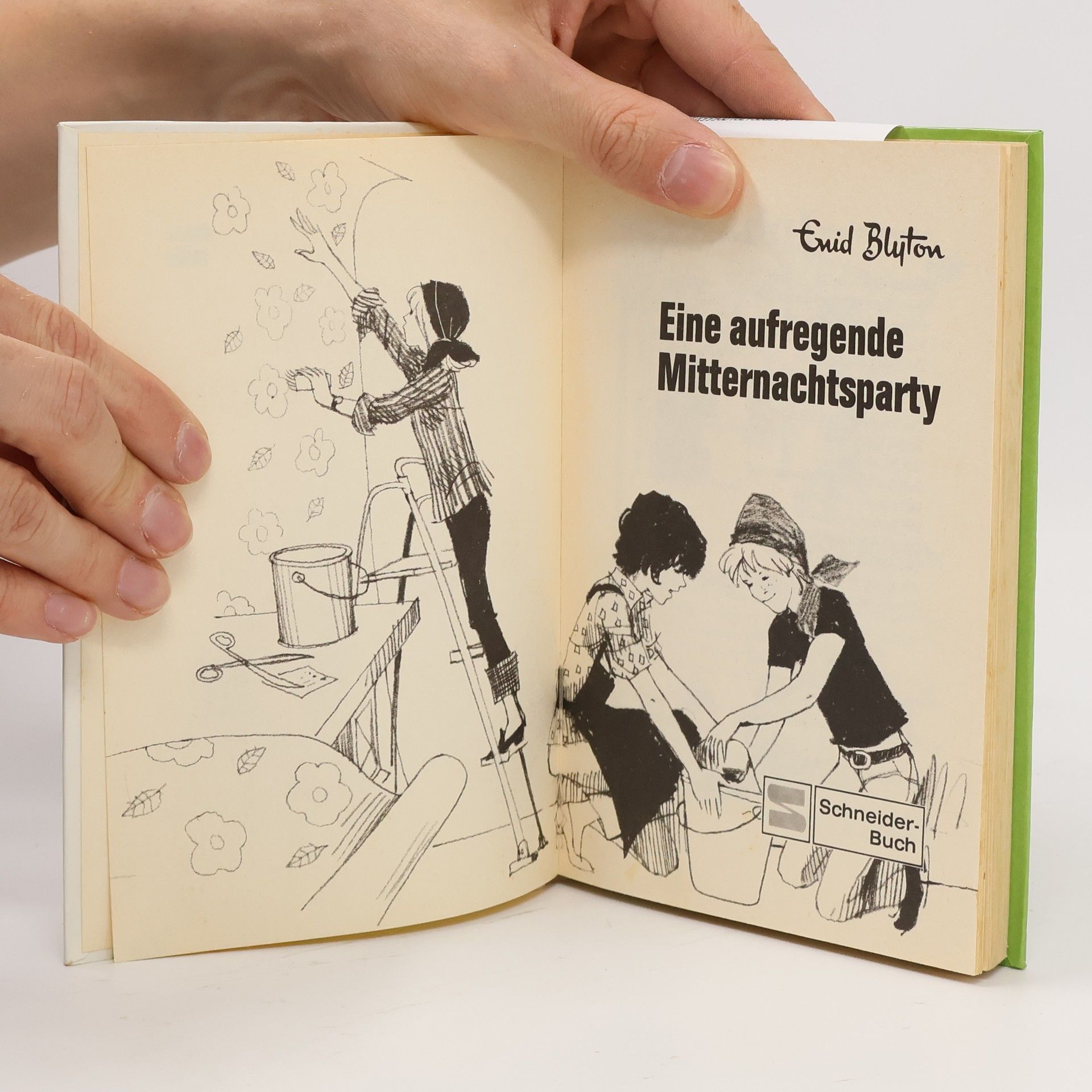 Enid Blyton Dolly 8. Eine Mitternachtsparty