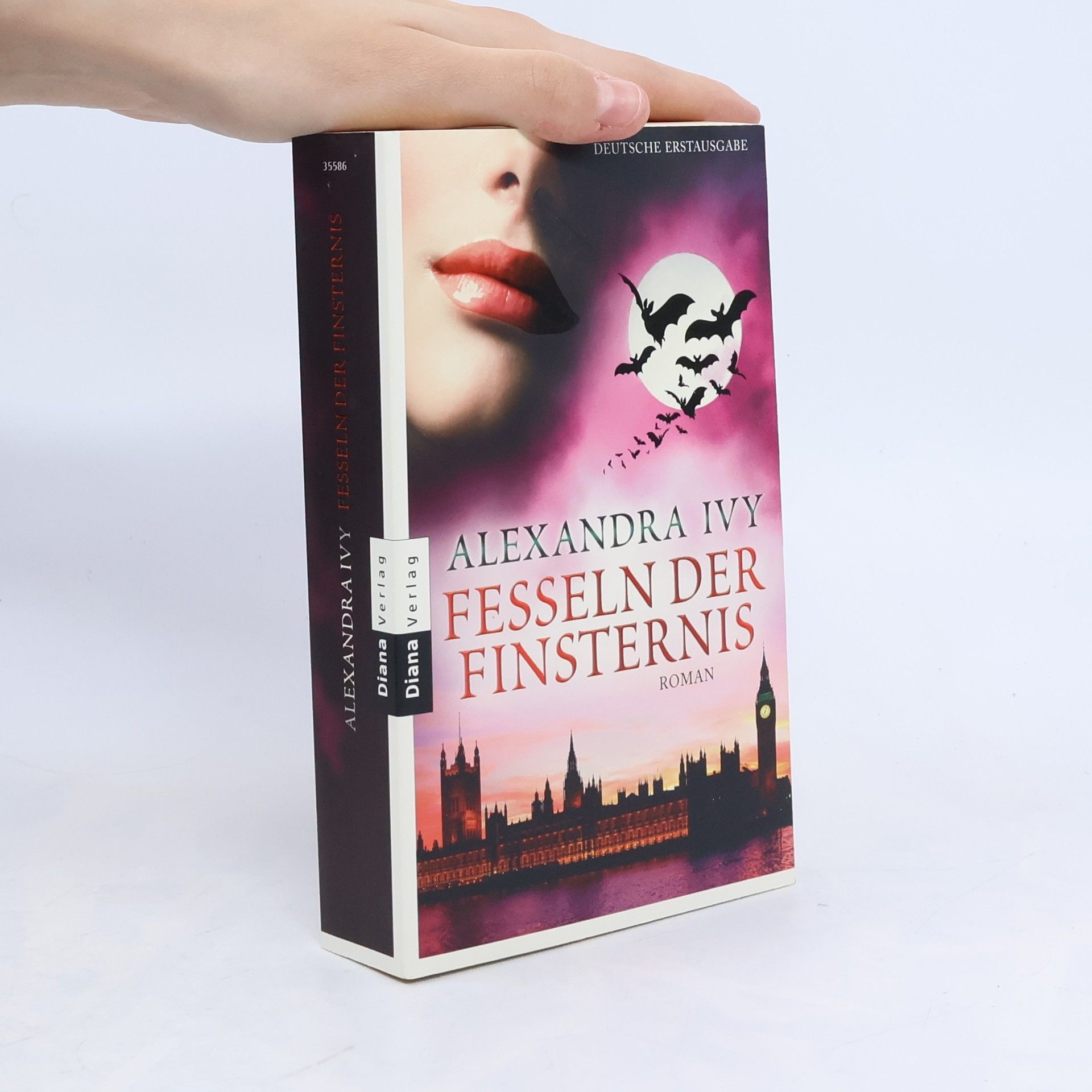 Debbie Raleigh Fesseln der Finsternis