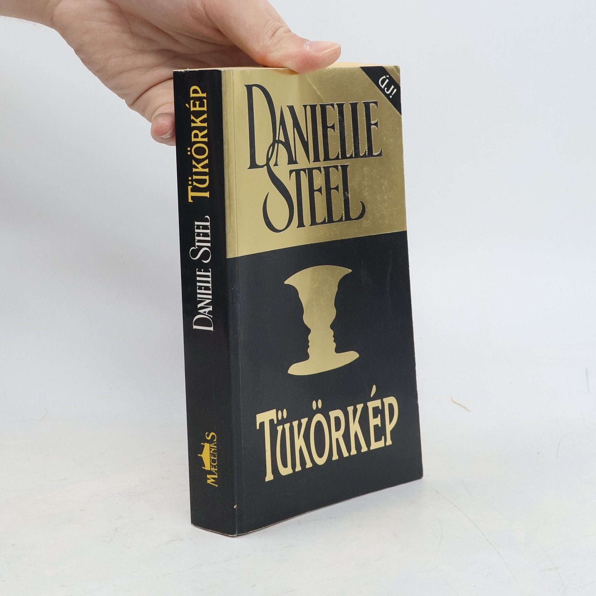 Danielle Steelová Tükörkép