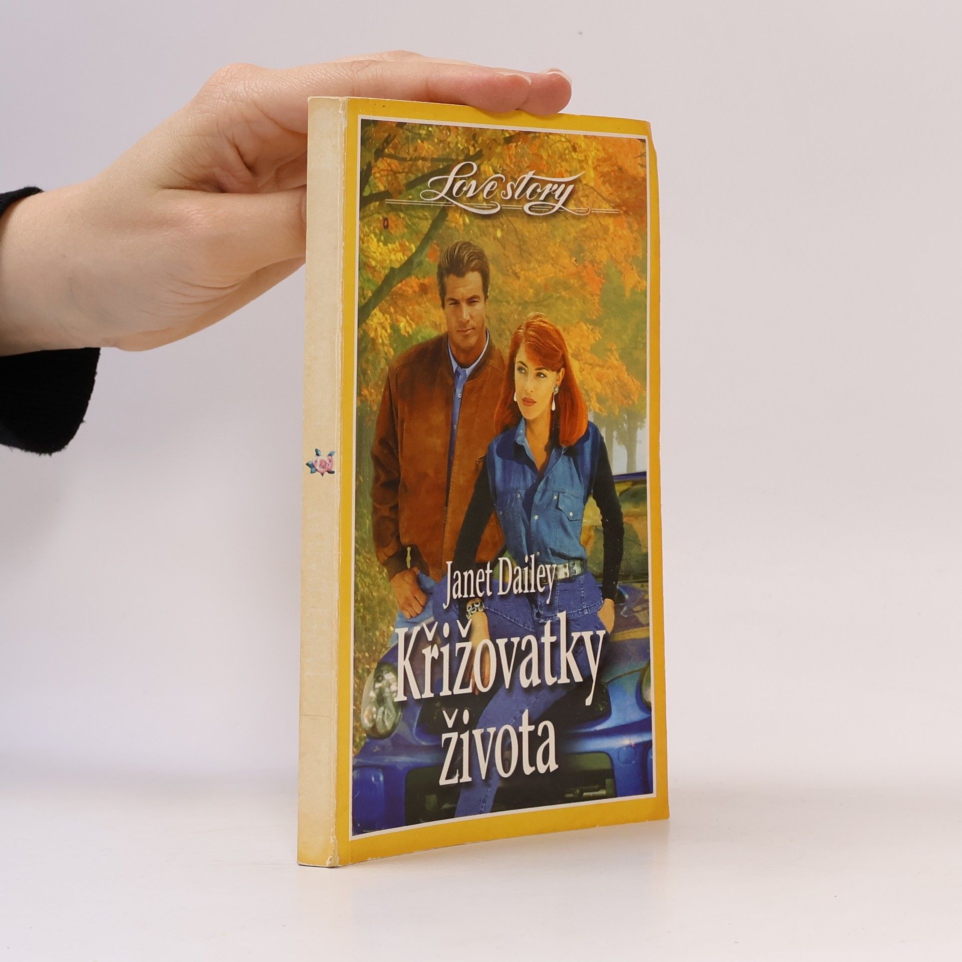 Janet Dailey Křižovatky života