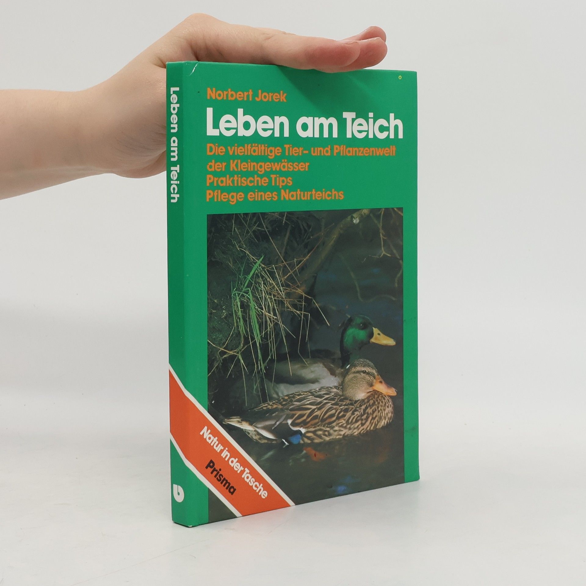 Leben am Teich