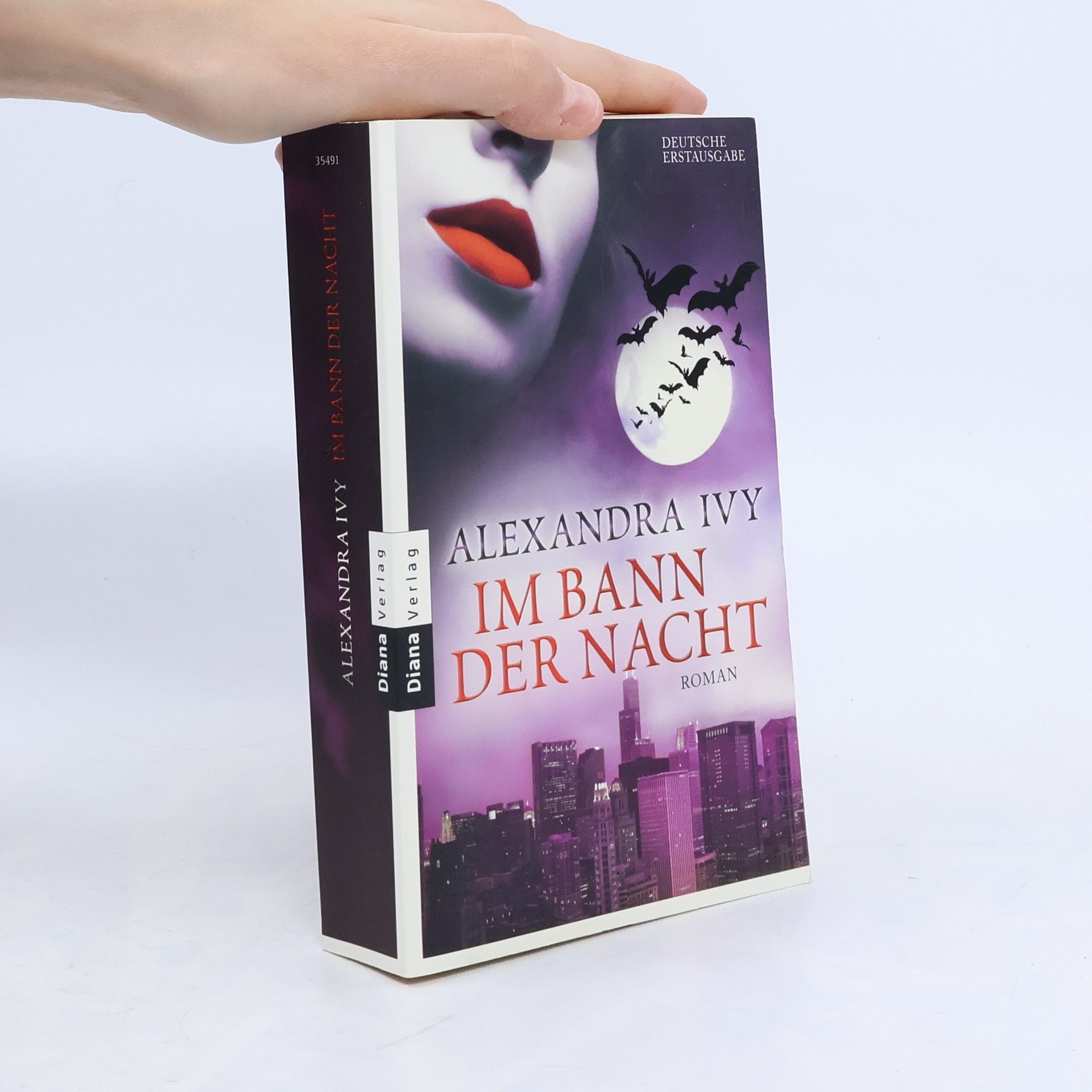 Debbie Raleigh Im Bann der Nacht
