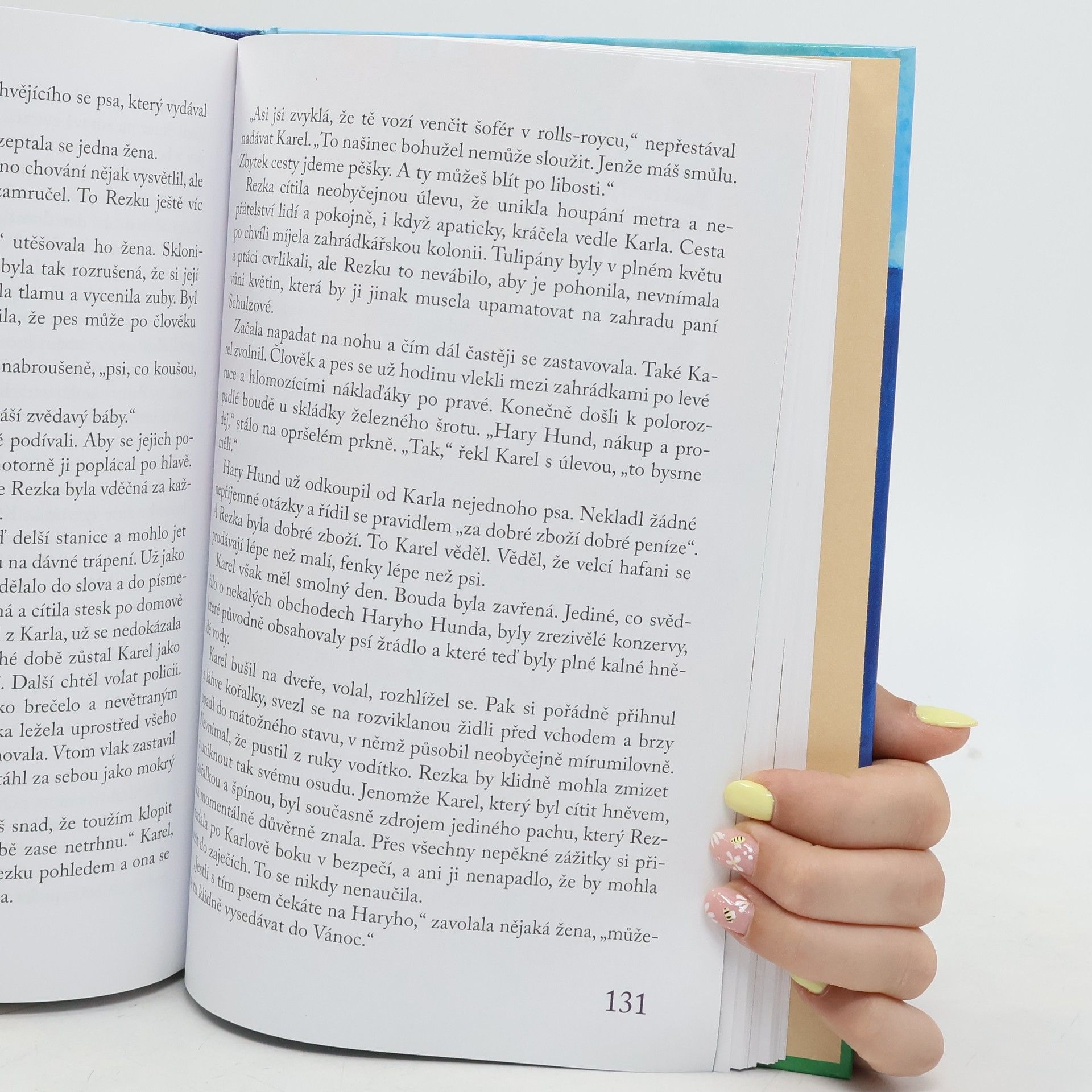 Stefanie Zweig Pes hledá člověka