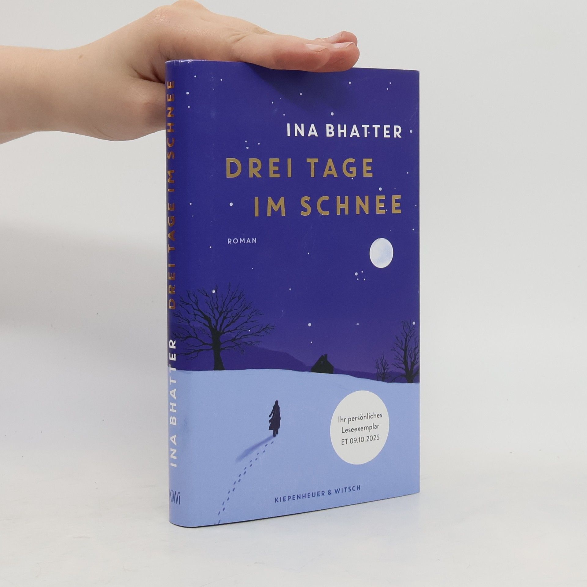 Ina Bhatter Drei Tage im Schnee