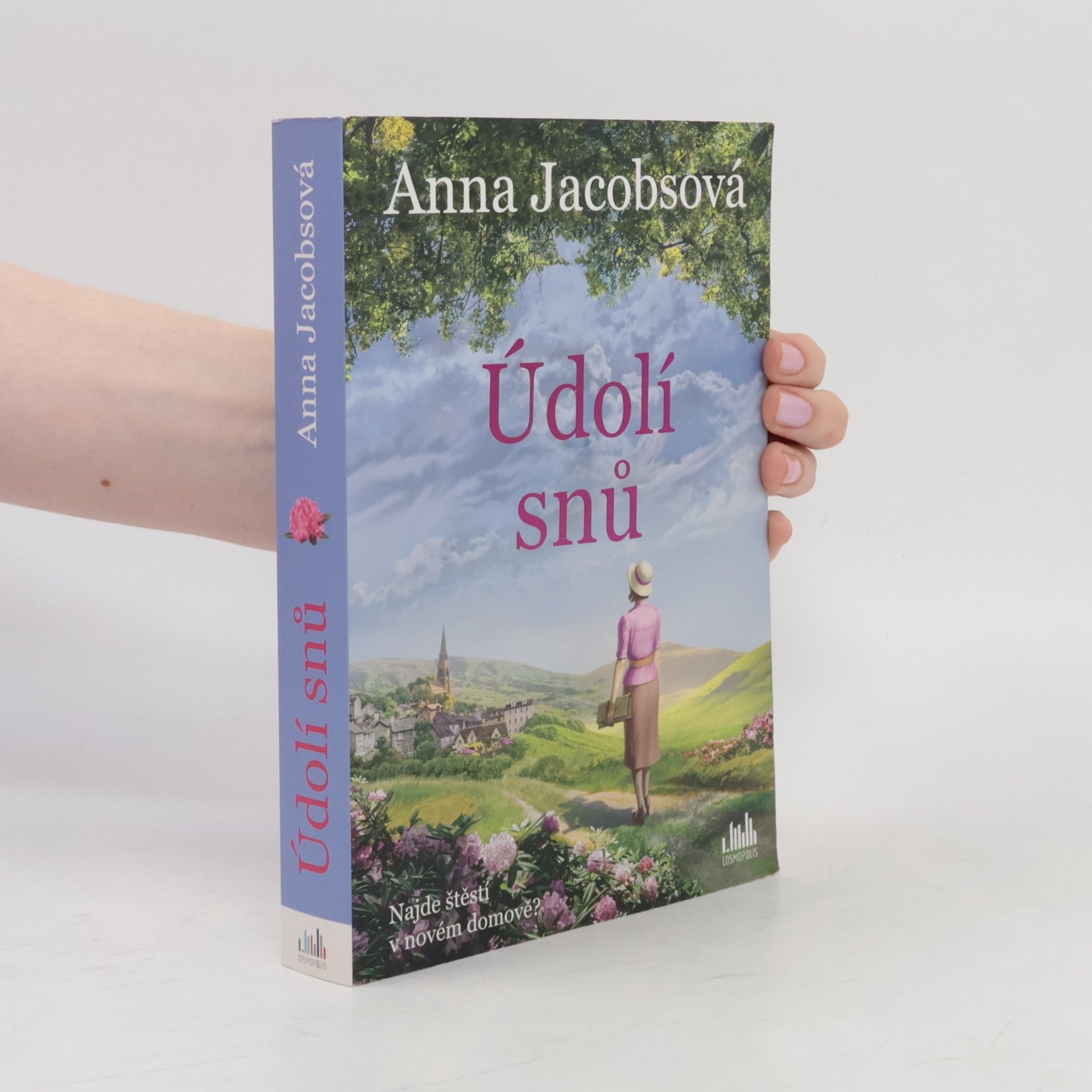 Anna Jacobs Údolí snů