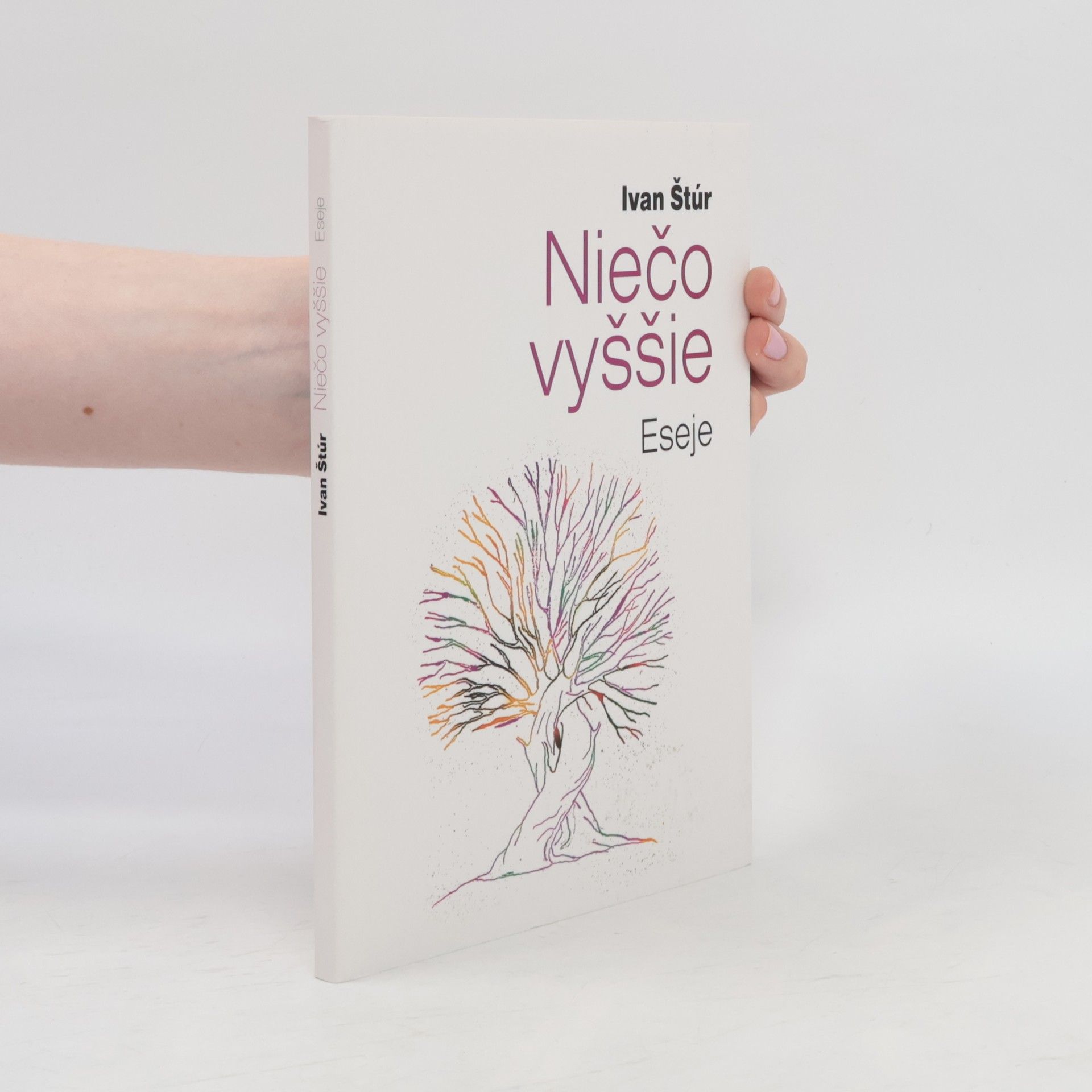 Niečo vyššie. Eseje