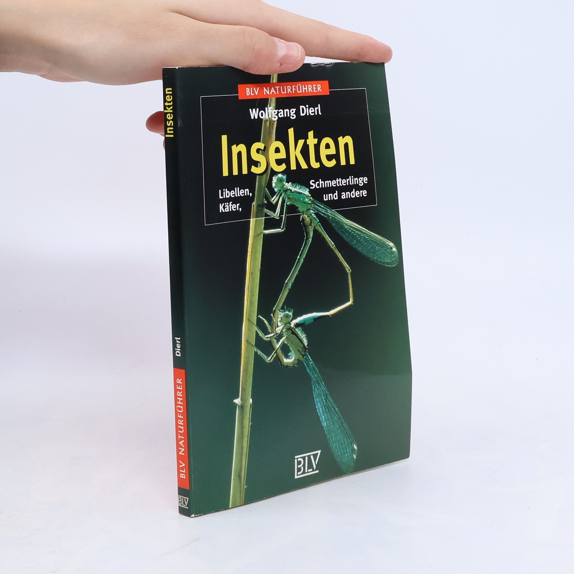 Insekten