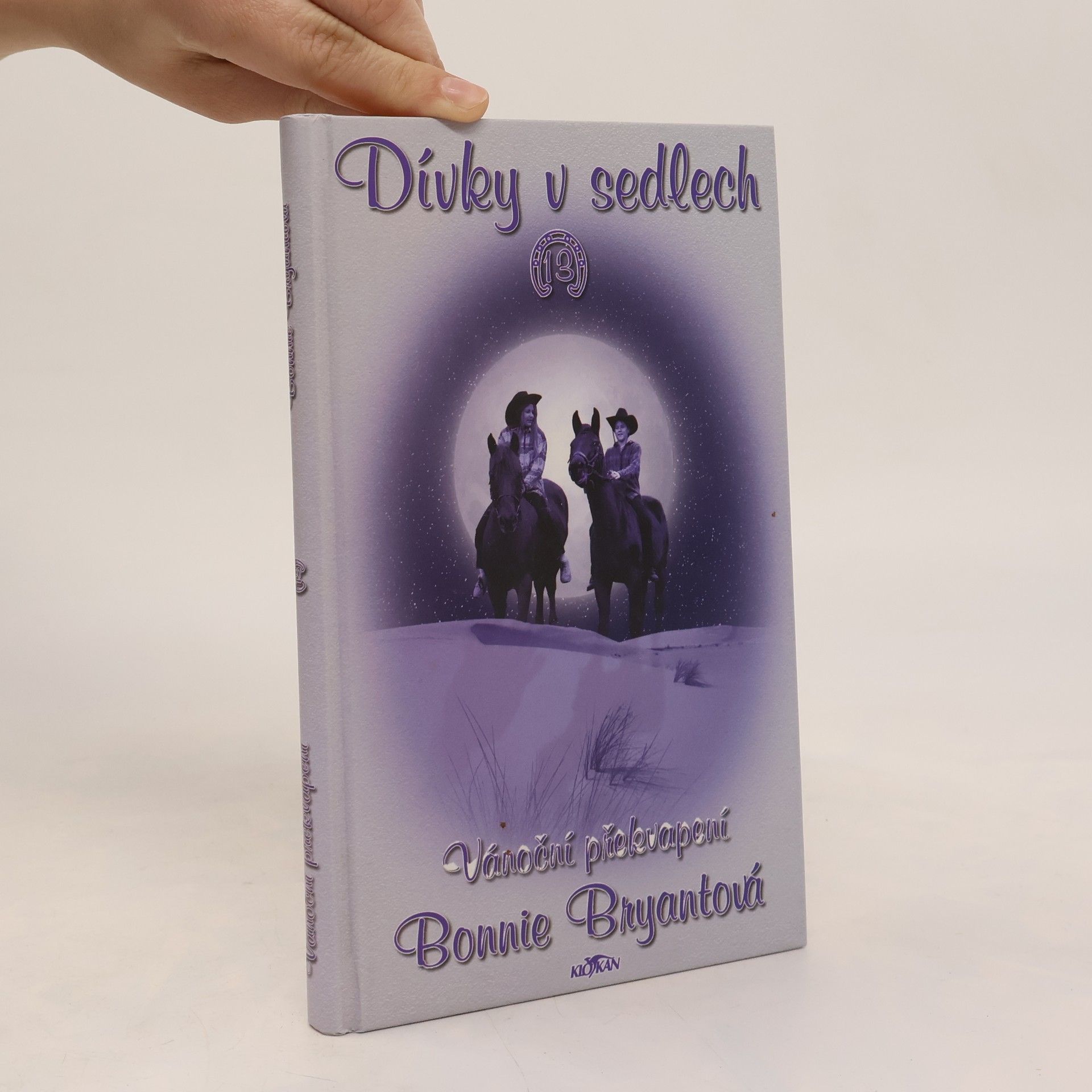 Bonnie Bryant Dívky v sedlech. 13, Vánoční překvapení