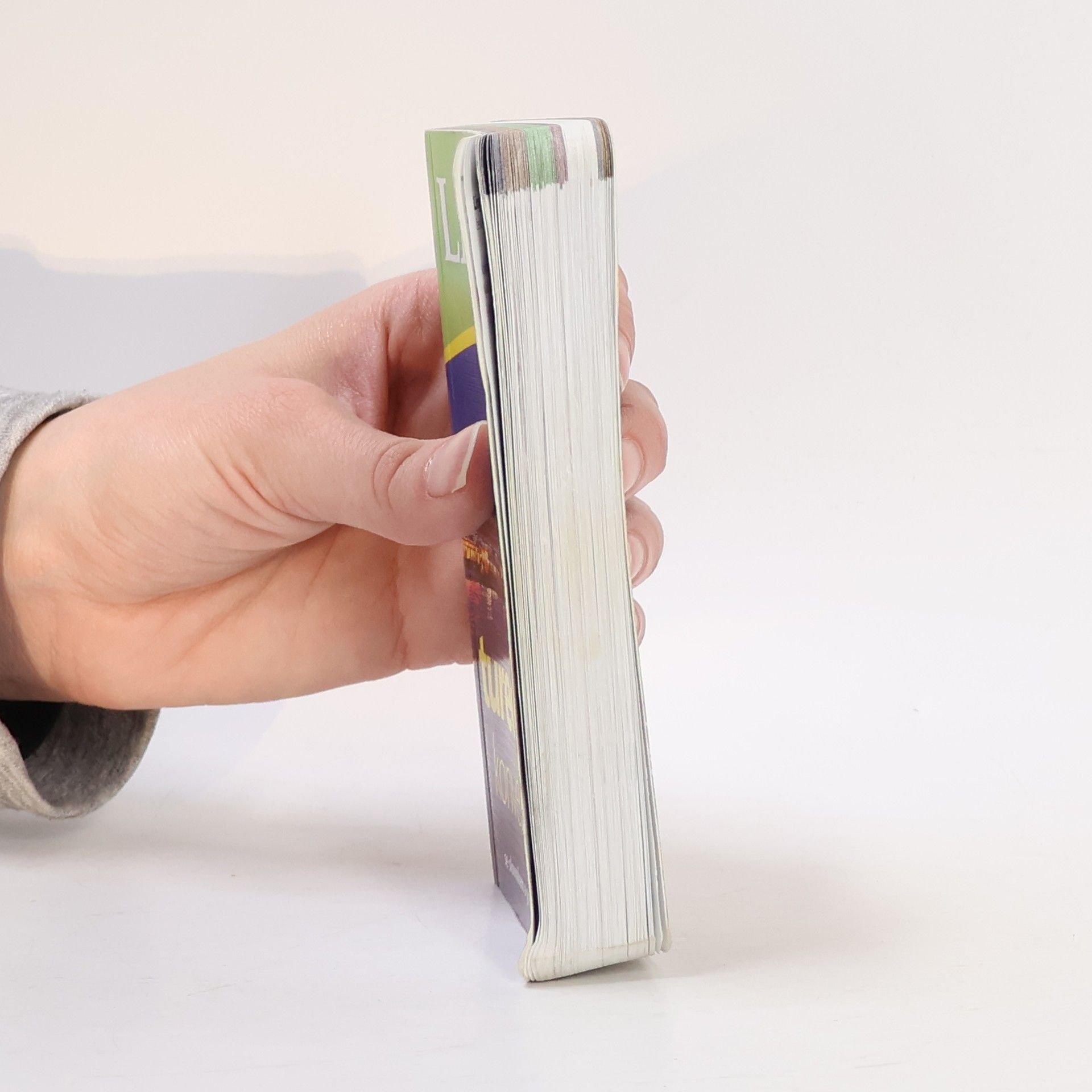 Autores varios Turečtina: Konverzace se slovníkem a gramatikou
