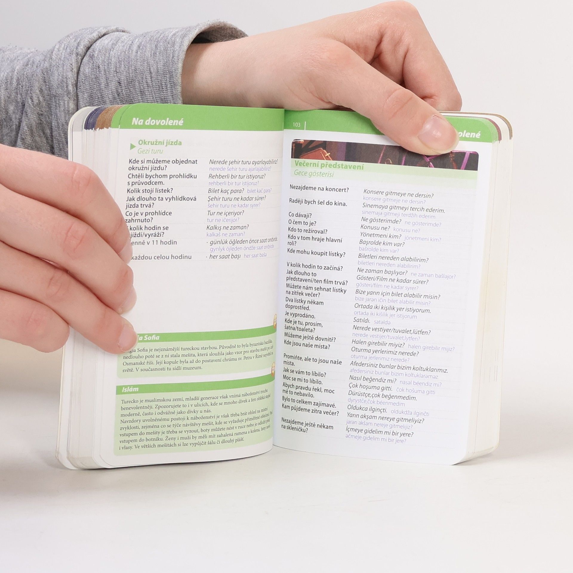 Autores varios Turečtina: Konverzace se slovníkem a gramatikou