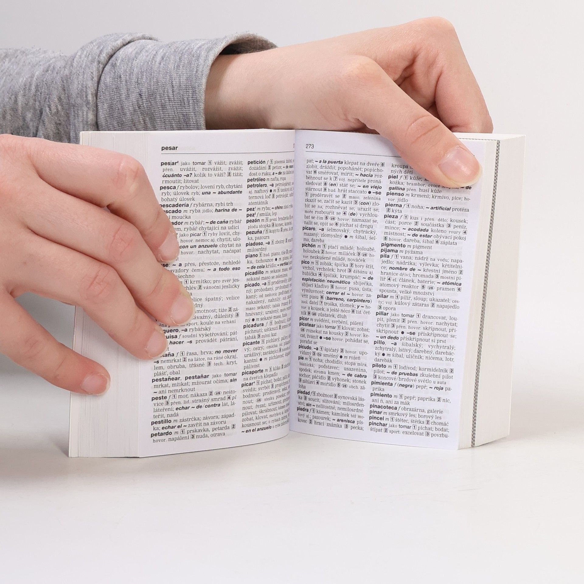Autorenkollektiv Španělsko-český, česko-španělský slovník
