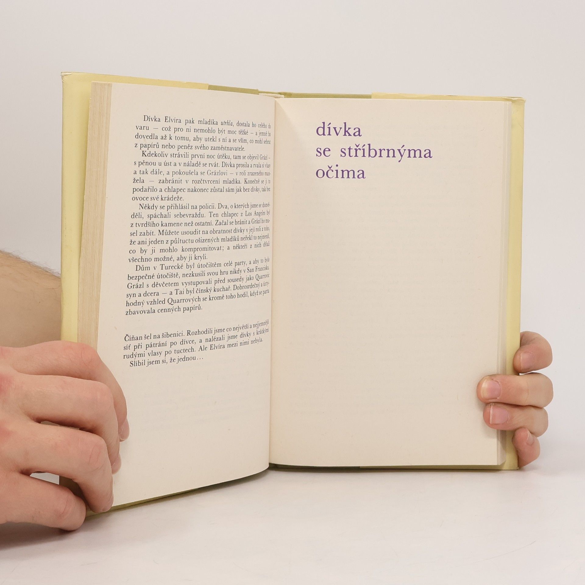 Dashiell Hammett Dívka se stříbrnýma očima