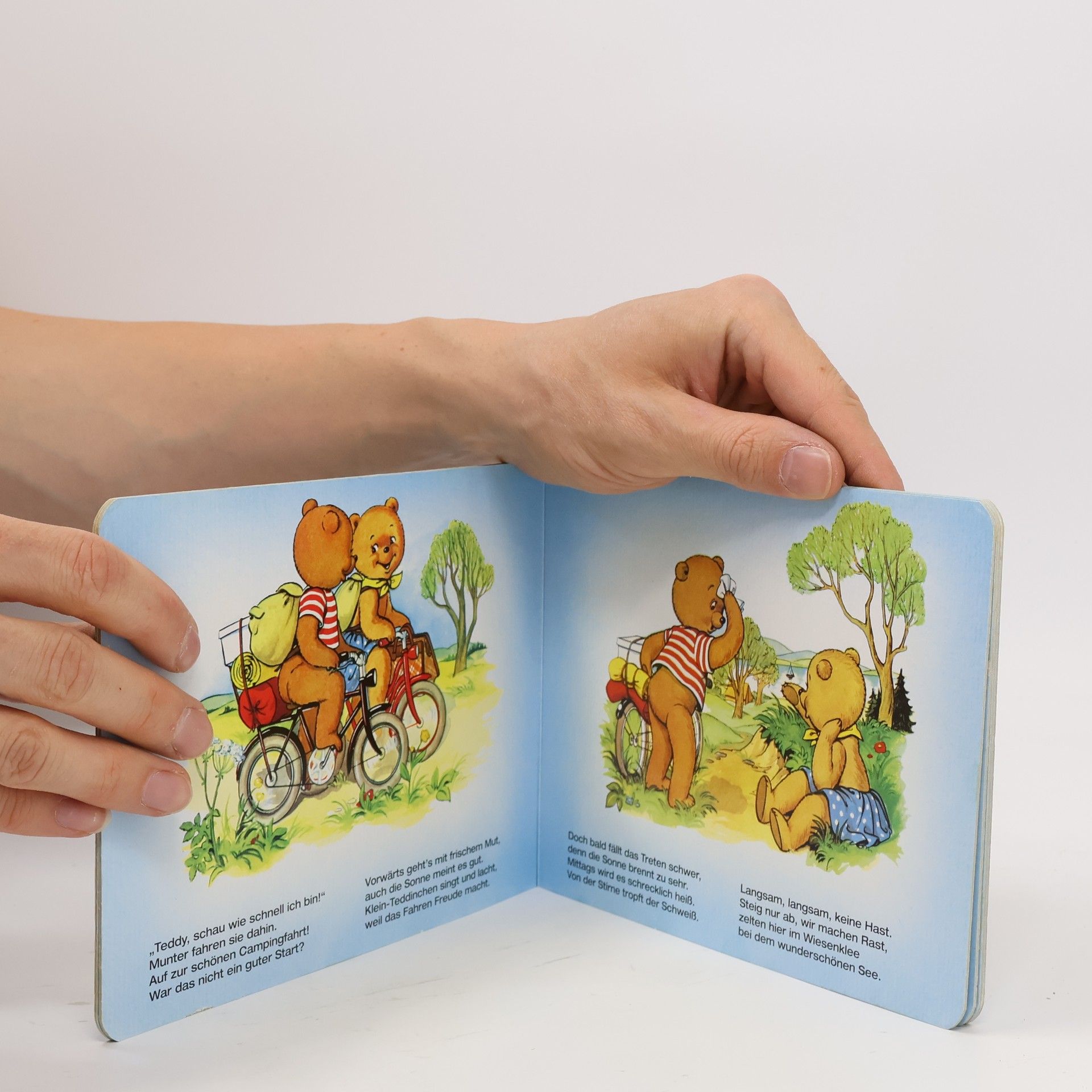 Anny Hoffmann Teddys Abenteuer: Teddys Campingfahrt