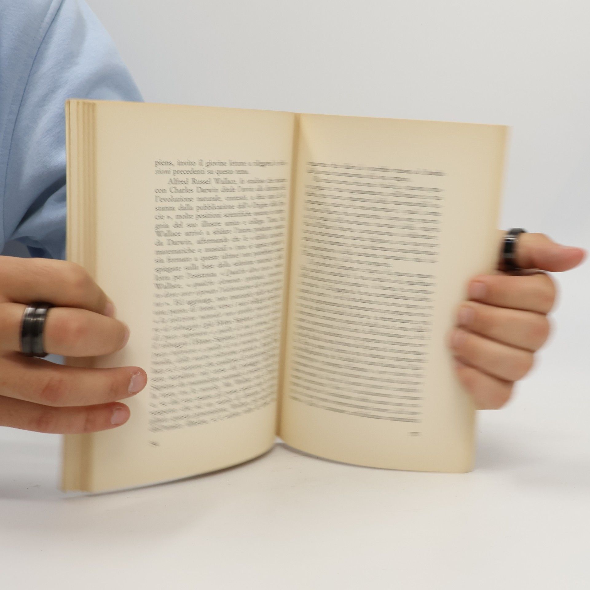 Giorgio Nelson Page  I figli della scimmia
