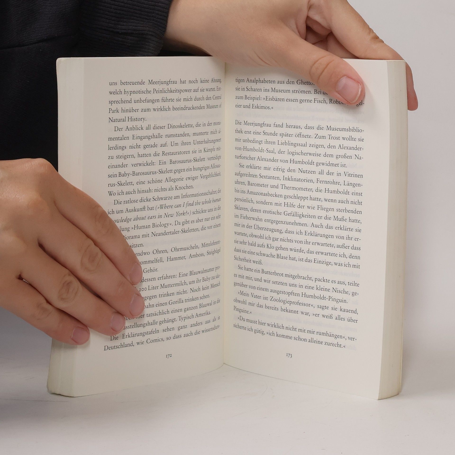 Chris Kraus Sommerfrauen, Winterfrauen