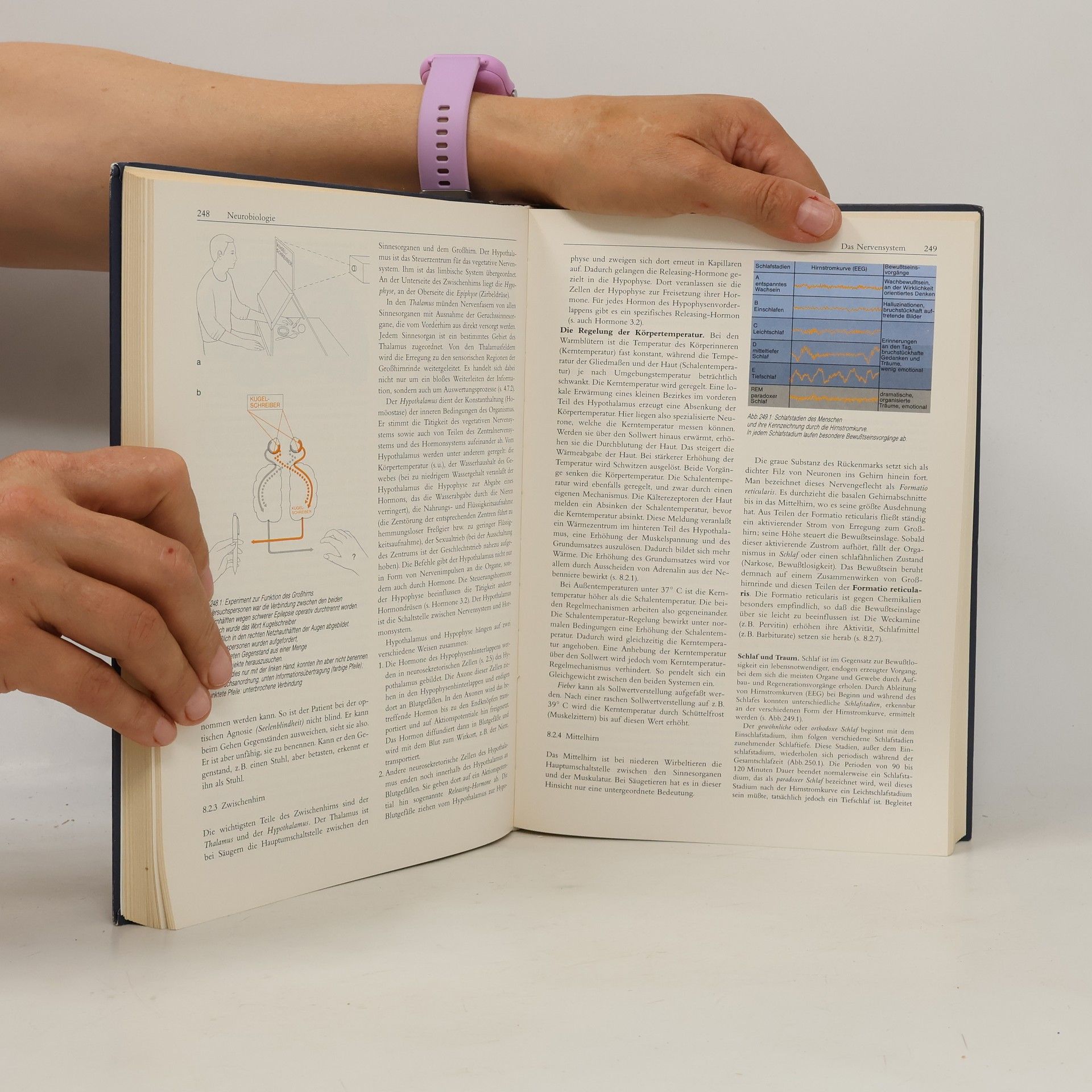 Horst Bayrhuber Linder Biologie