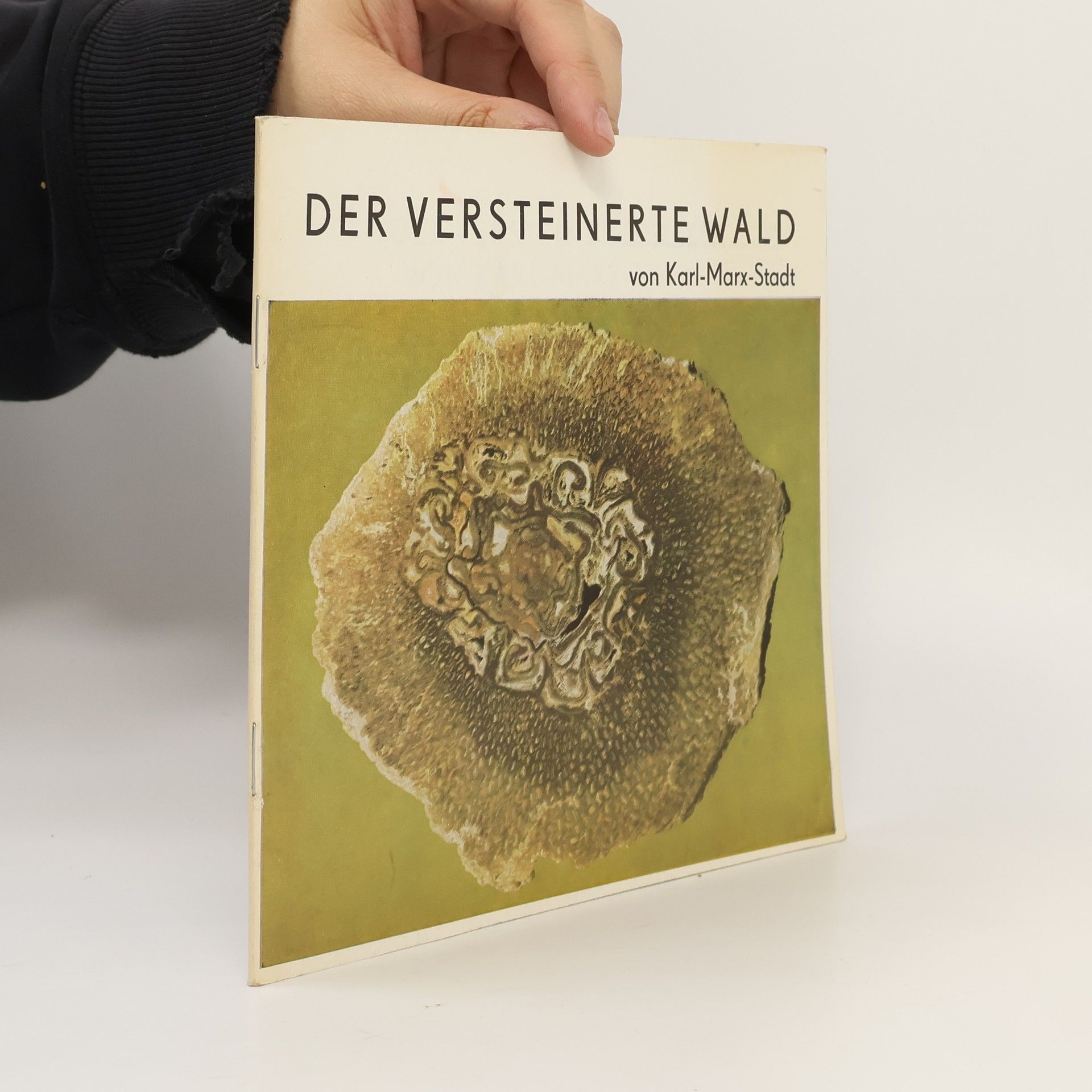 Autorenkollektiv Der versteinerte Wald von Karl-Marx-Stadt