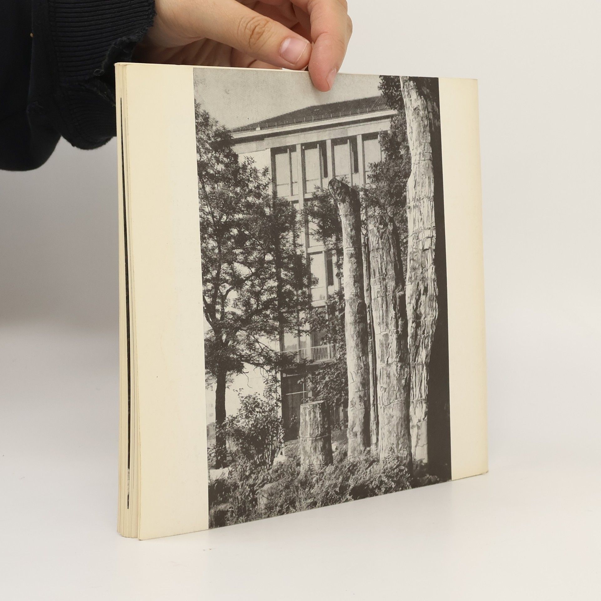Kolektiv autorů Der versteinerte Wald von Karl-Marx-Stadt