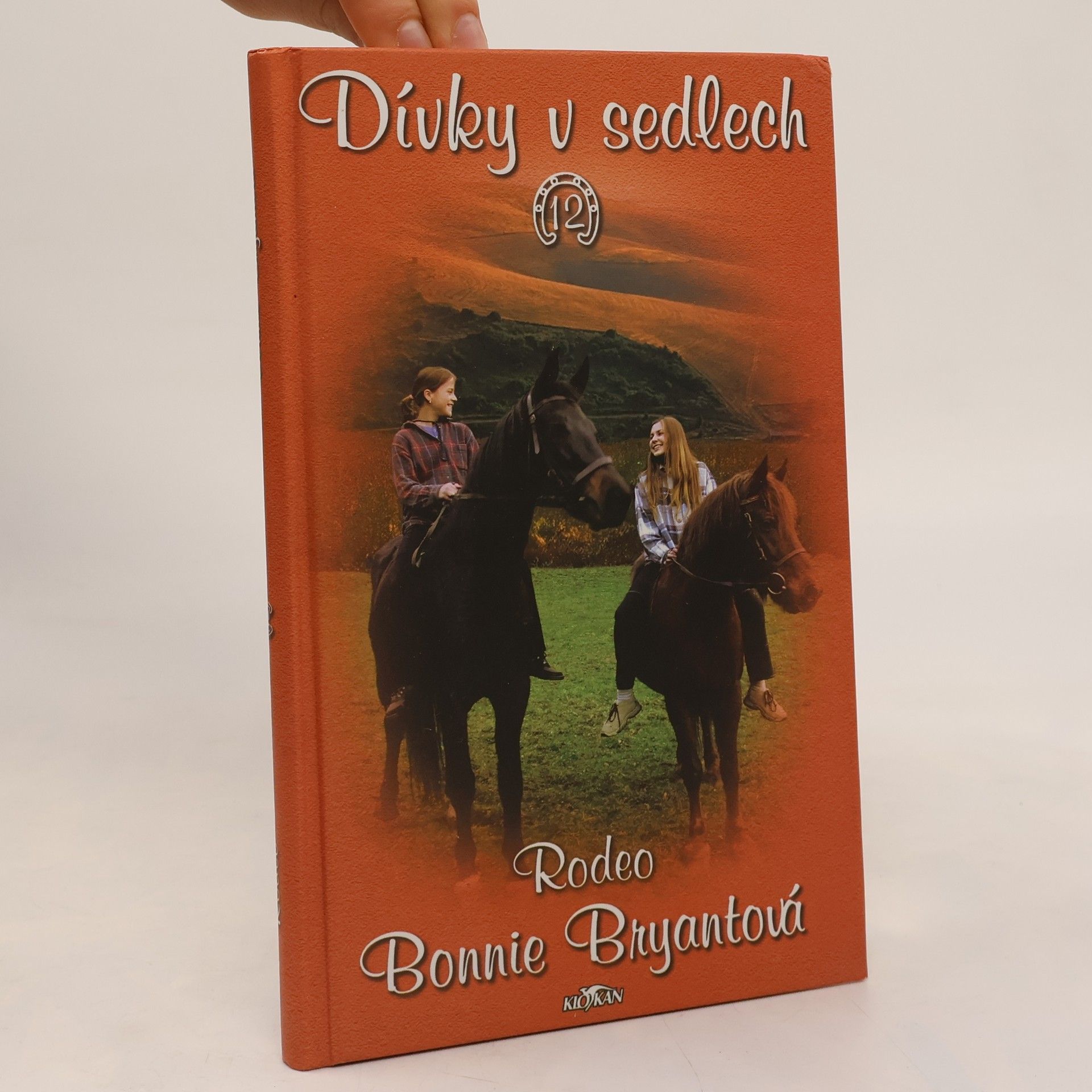 Bonnie Bryant Dívky v sedlech. 12, Rodeo