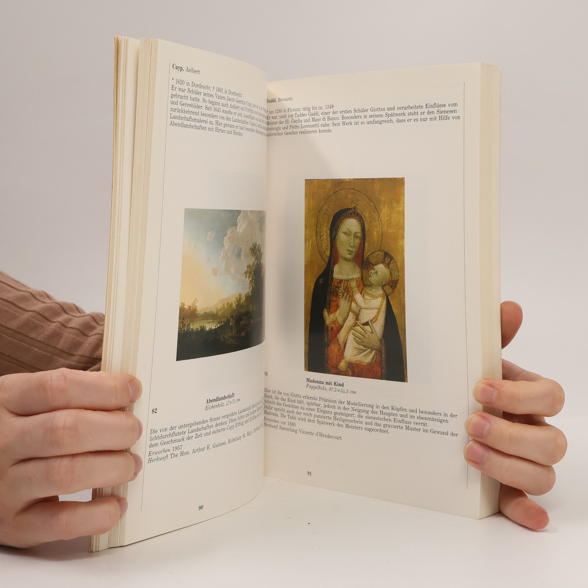 Kolektiv autorů Sammlung Thyssen-Bornemisza