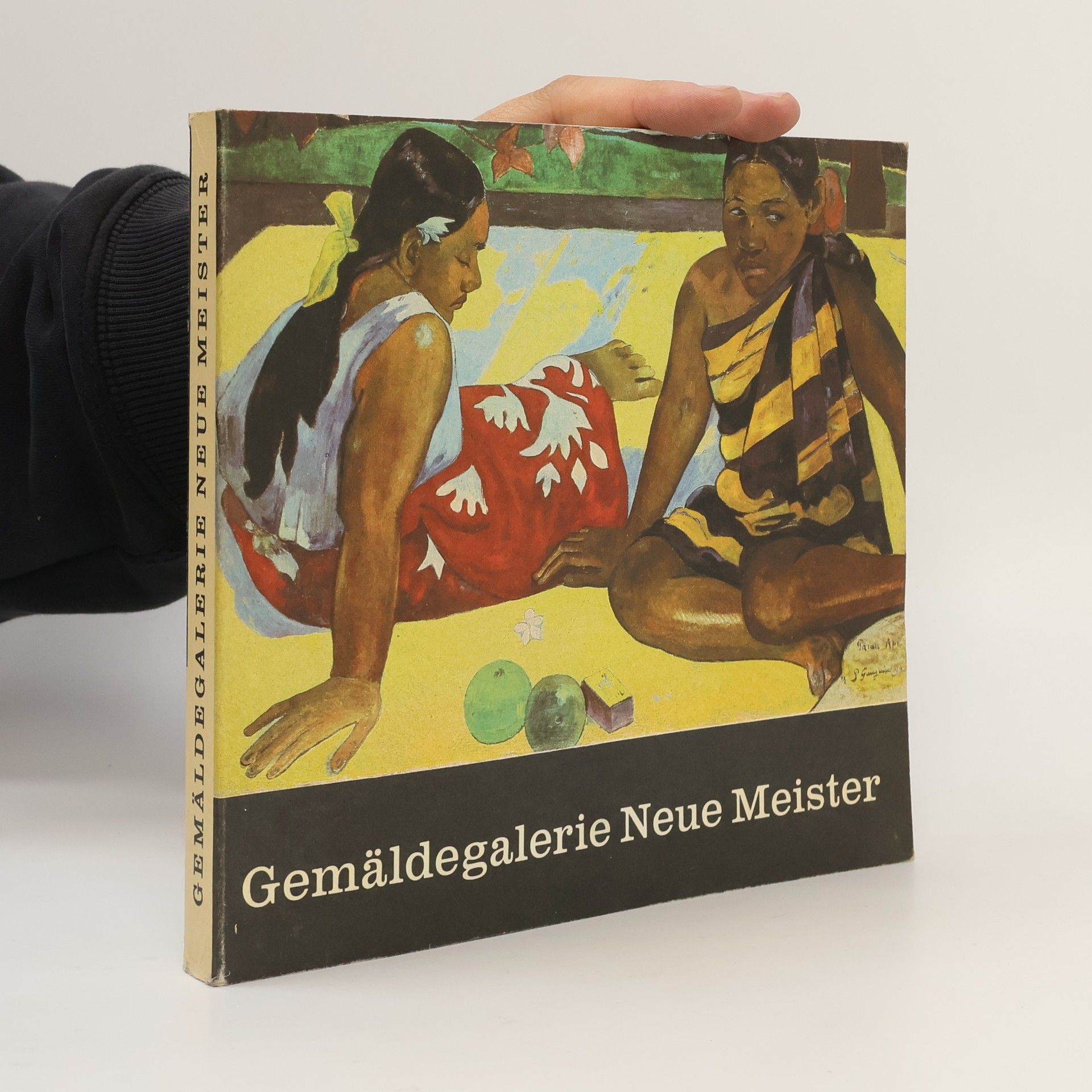 Kolektiv autorů Gemäldegalerie Neue Meister