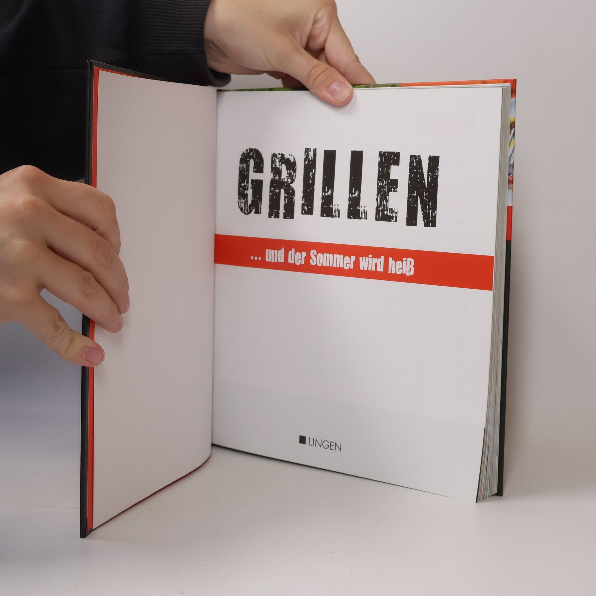 Kolektiv autorů Grillen...und der Sommer wird heiß