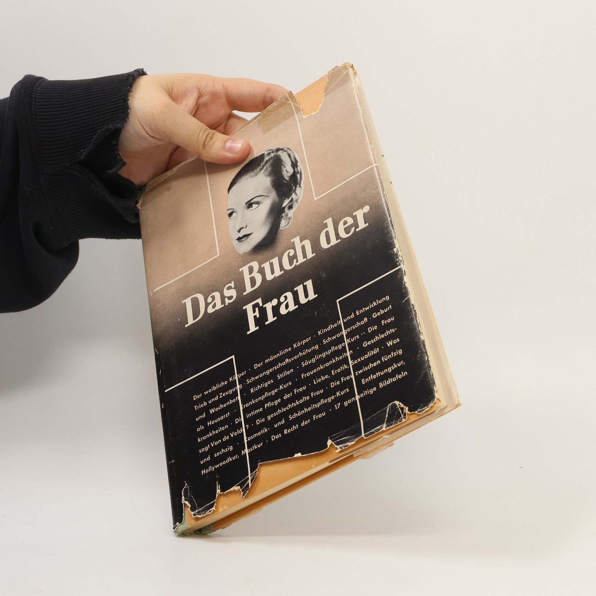 Autorenkollektiv Das Buch der Frau