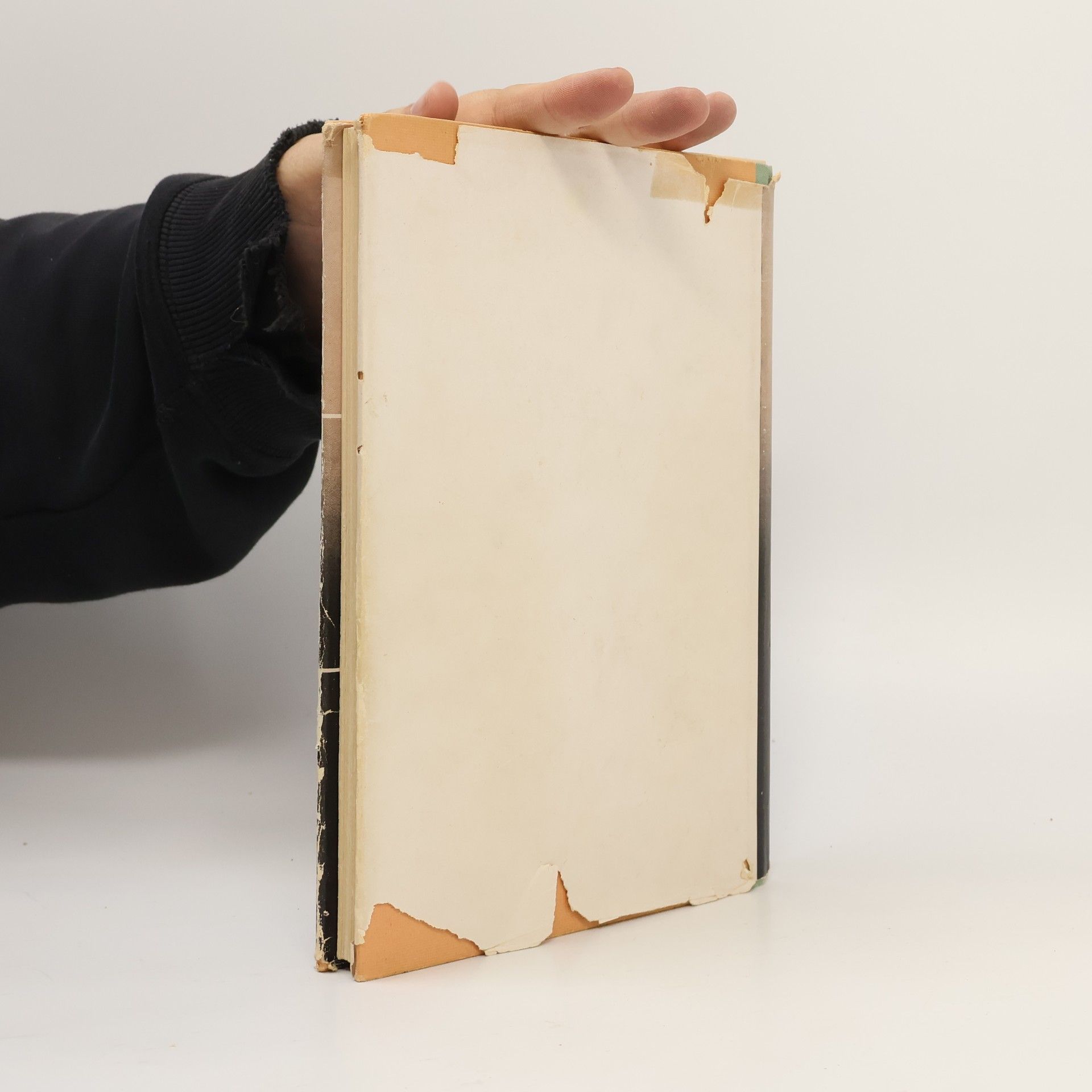 Autorenkollektiv Das Buch der Frau