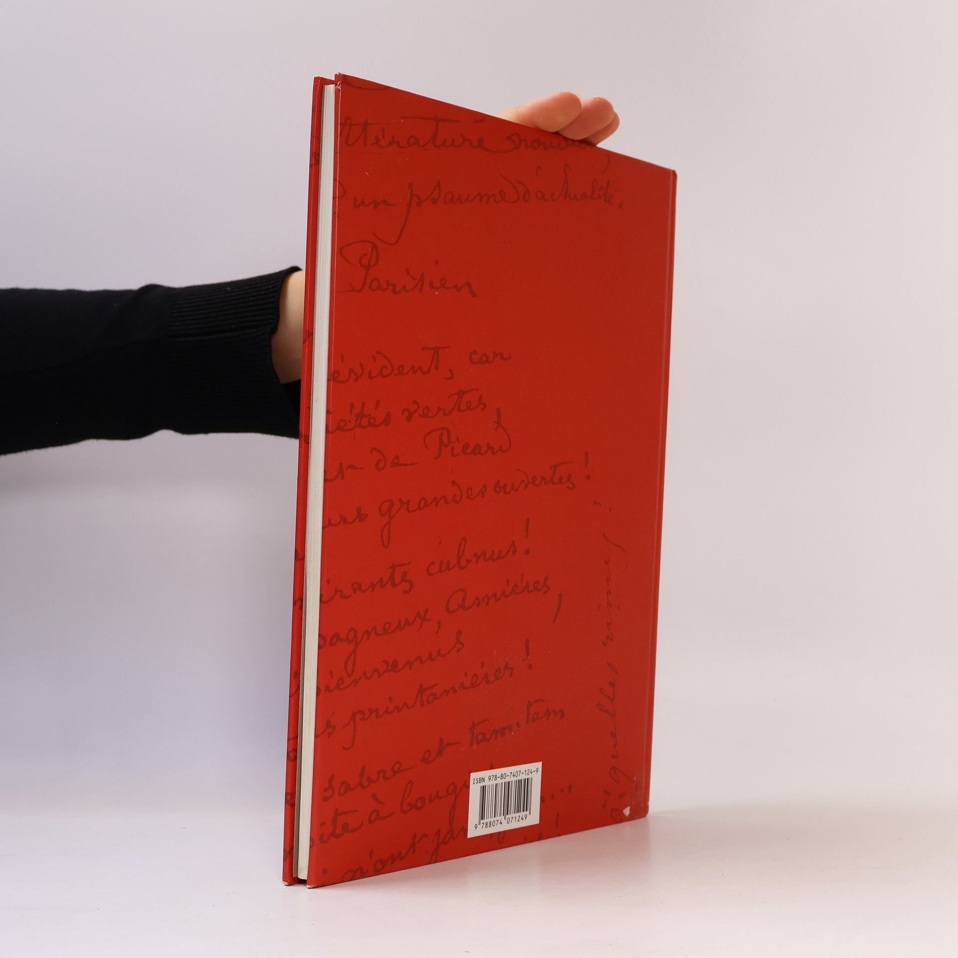 Arthur Rimbaud Ples oběšenců