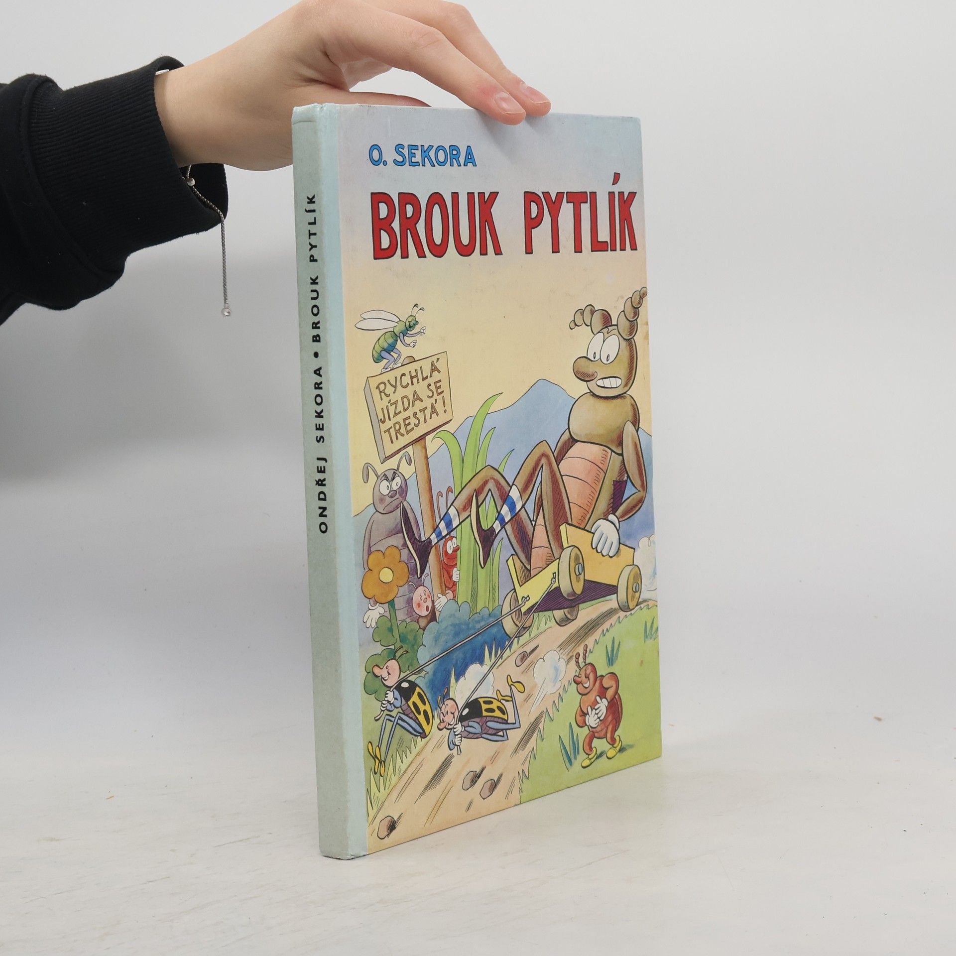 Ondřej Sekora Brouk Pytlík