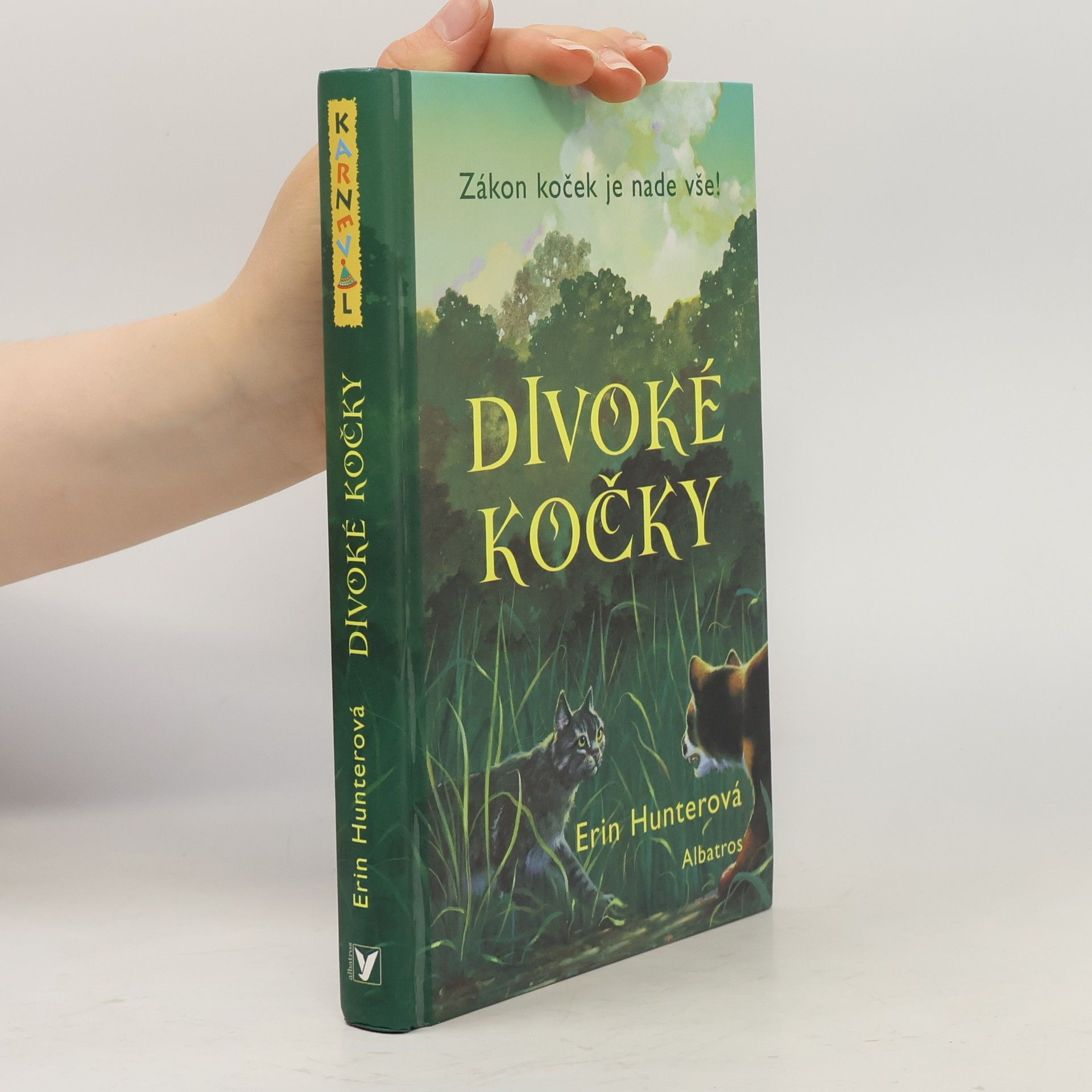 Erin Hunter Divoké kočky