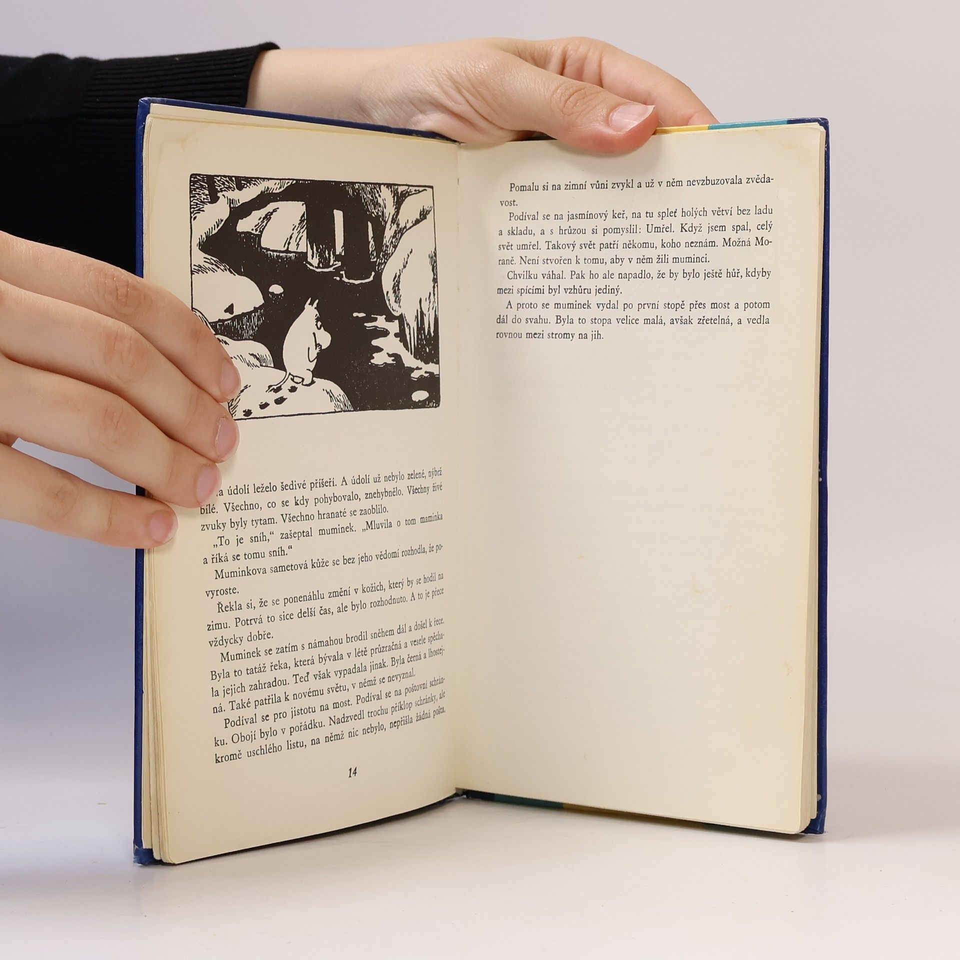Tove Jansson Čarovná zima