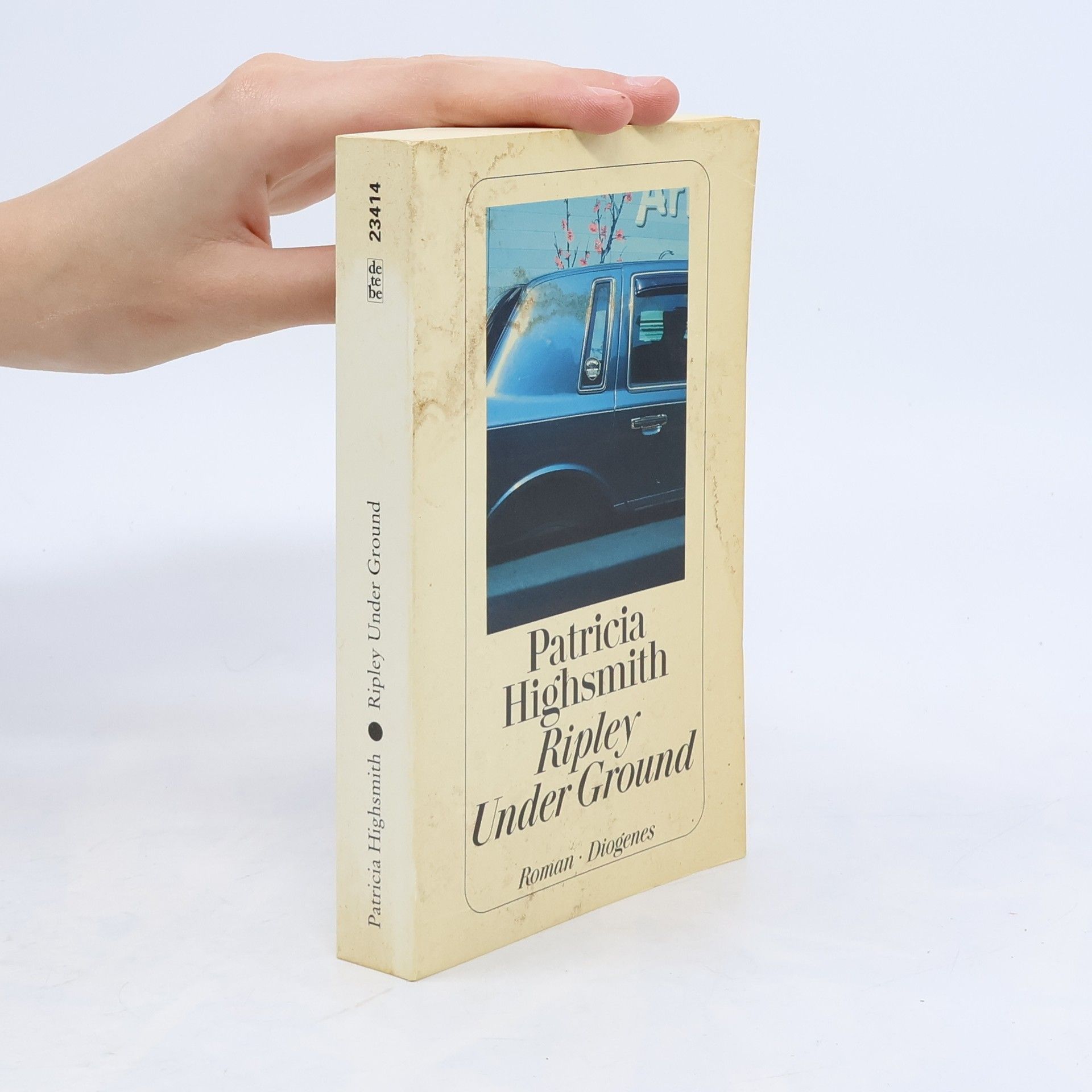 Patricia Highsmith Ripley under ground