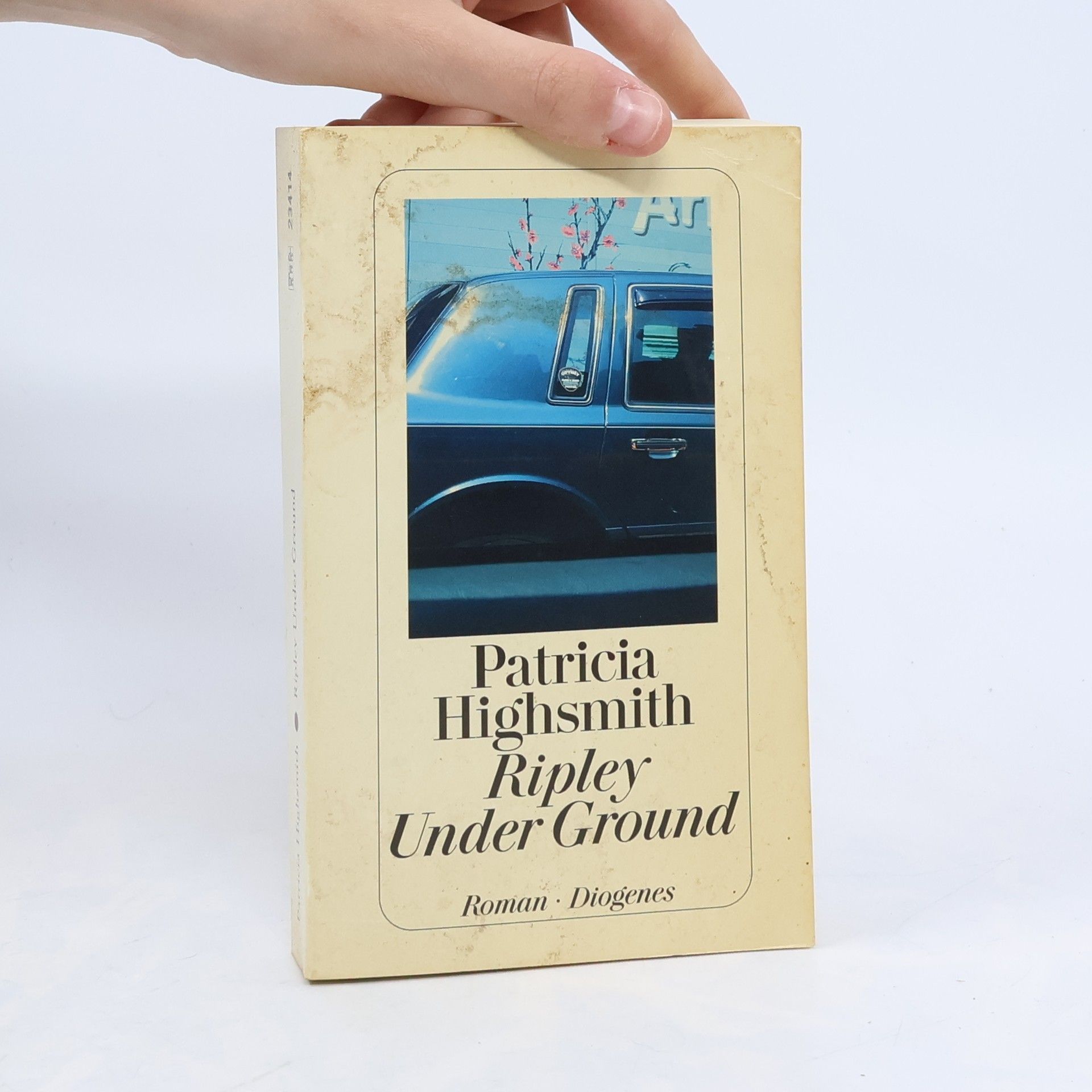 Patricia Highsmith Ripley under ground