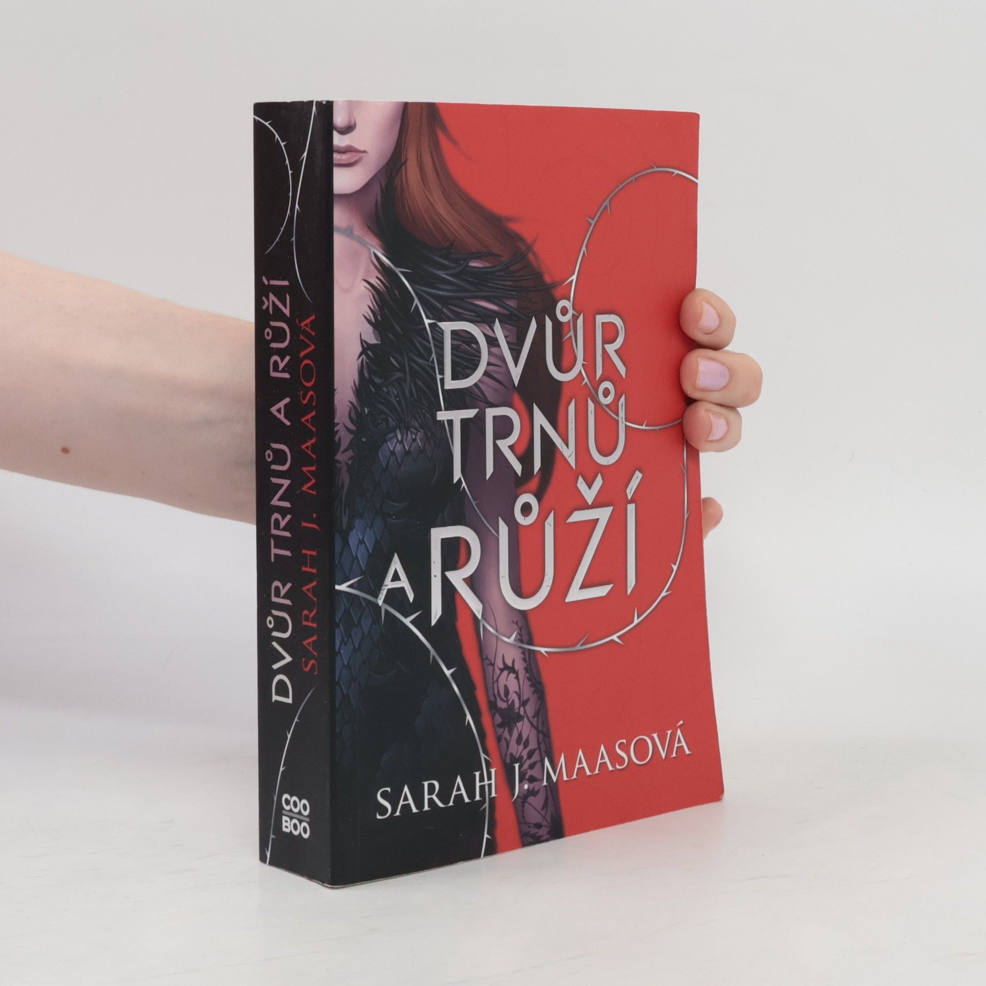 Sarah J. Maas Dvůr trnů a růží