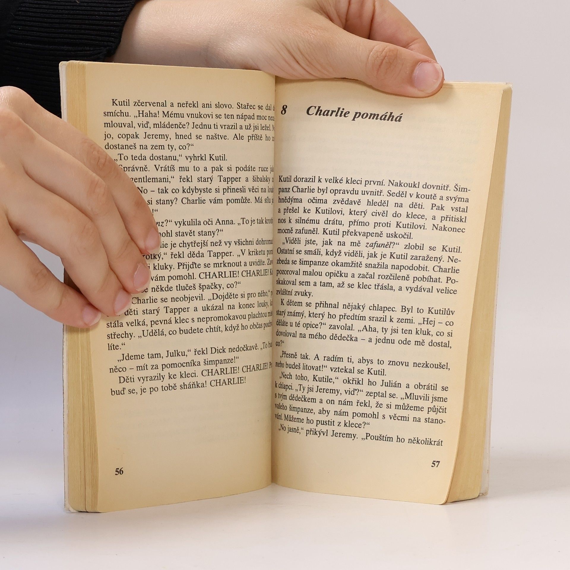 Enid Blyton Správná pětka. Pětka a zloději