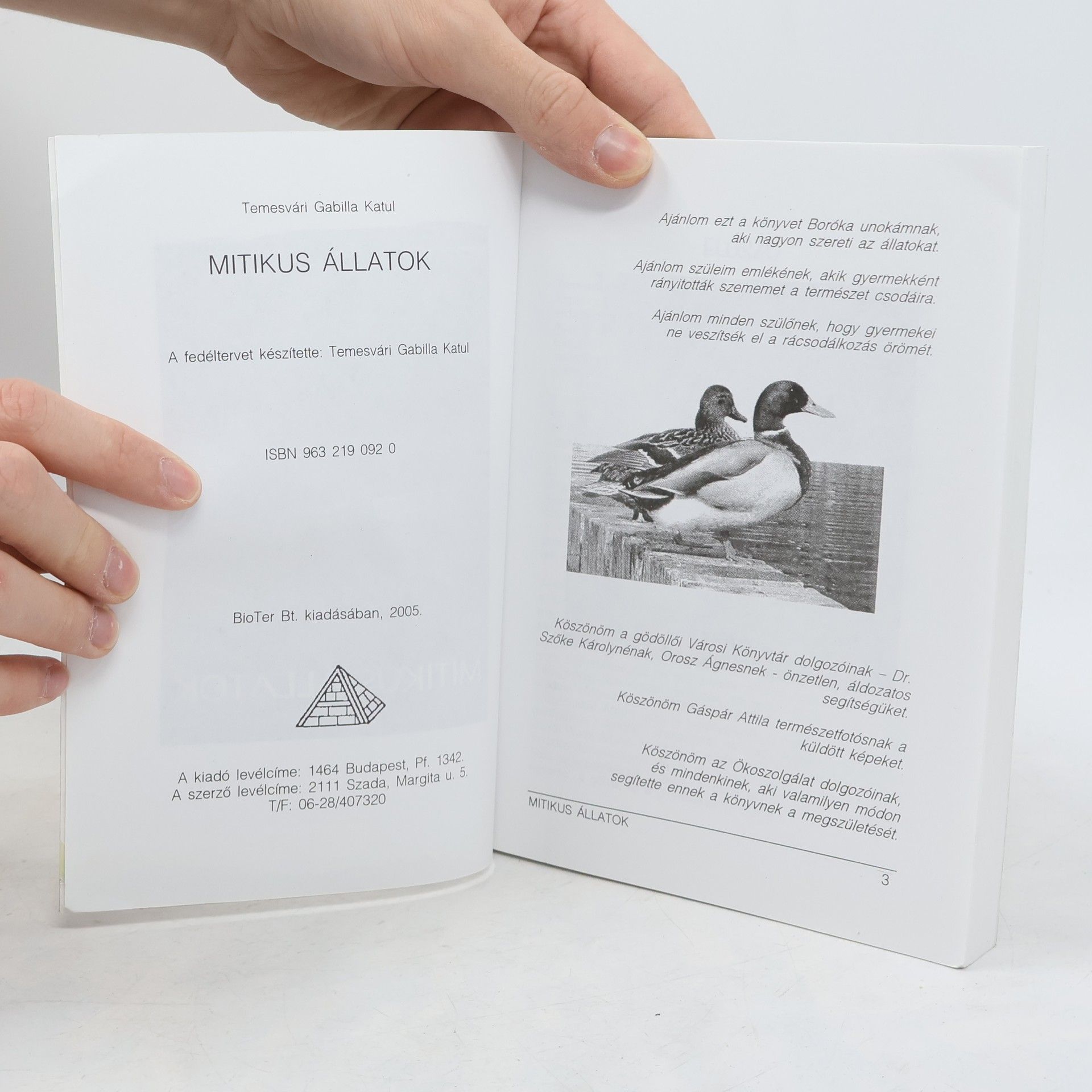 Temesvári Gabilla Katul Mitikus Állatok