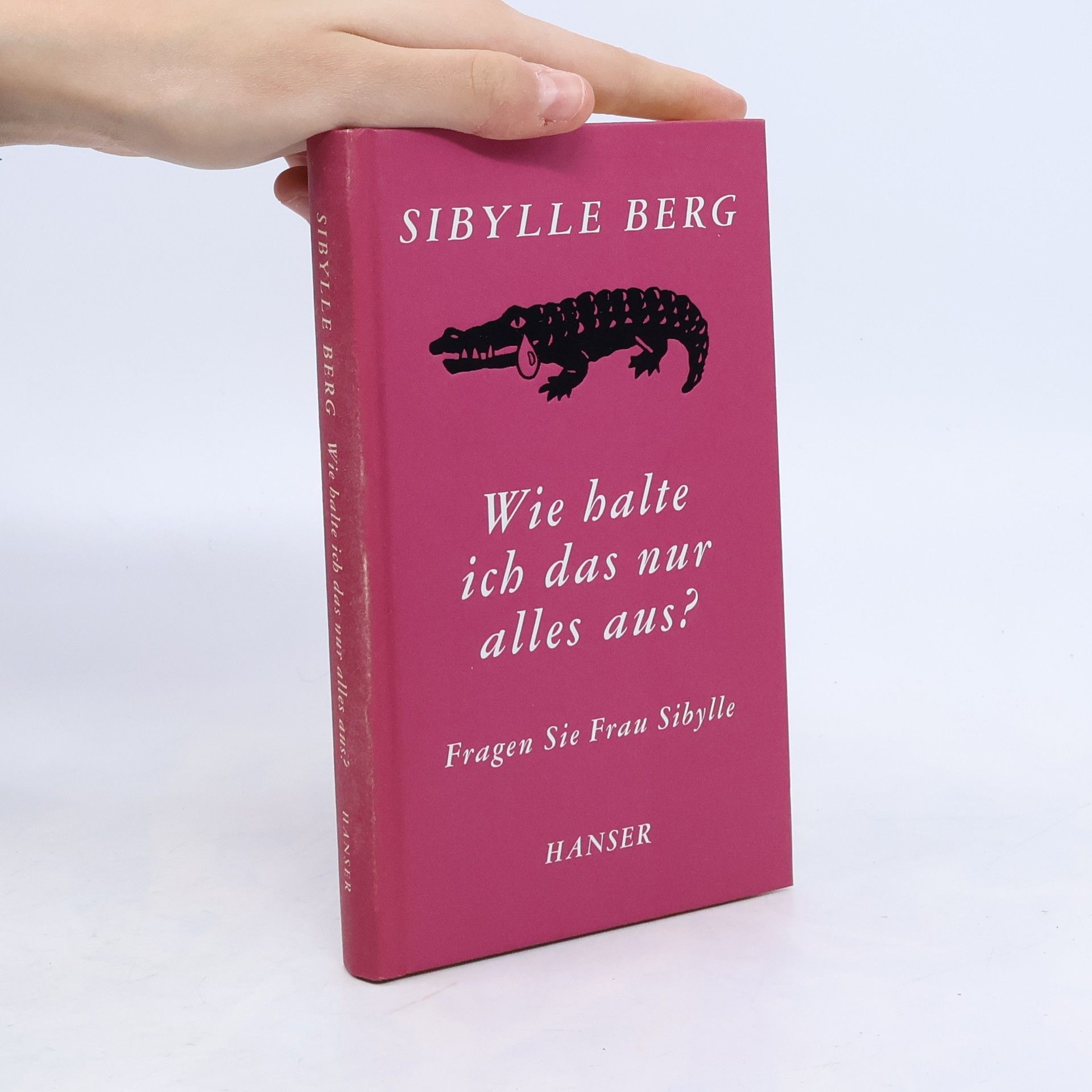 Sibylle Berg Wie halte ich das nur alles aus?