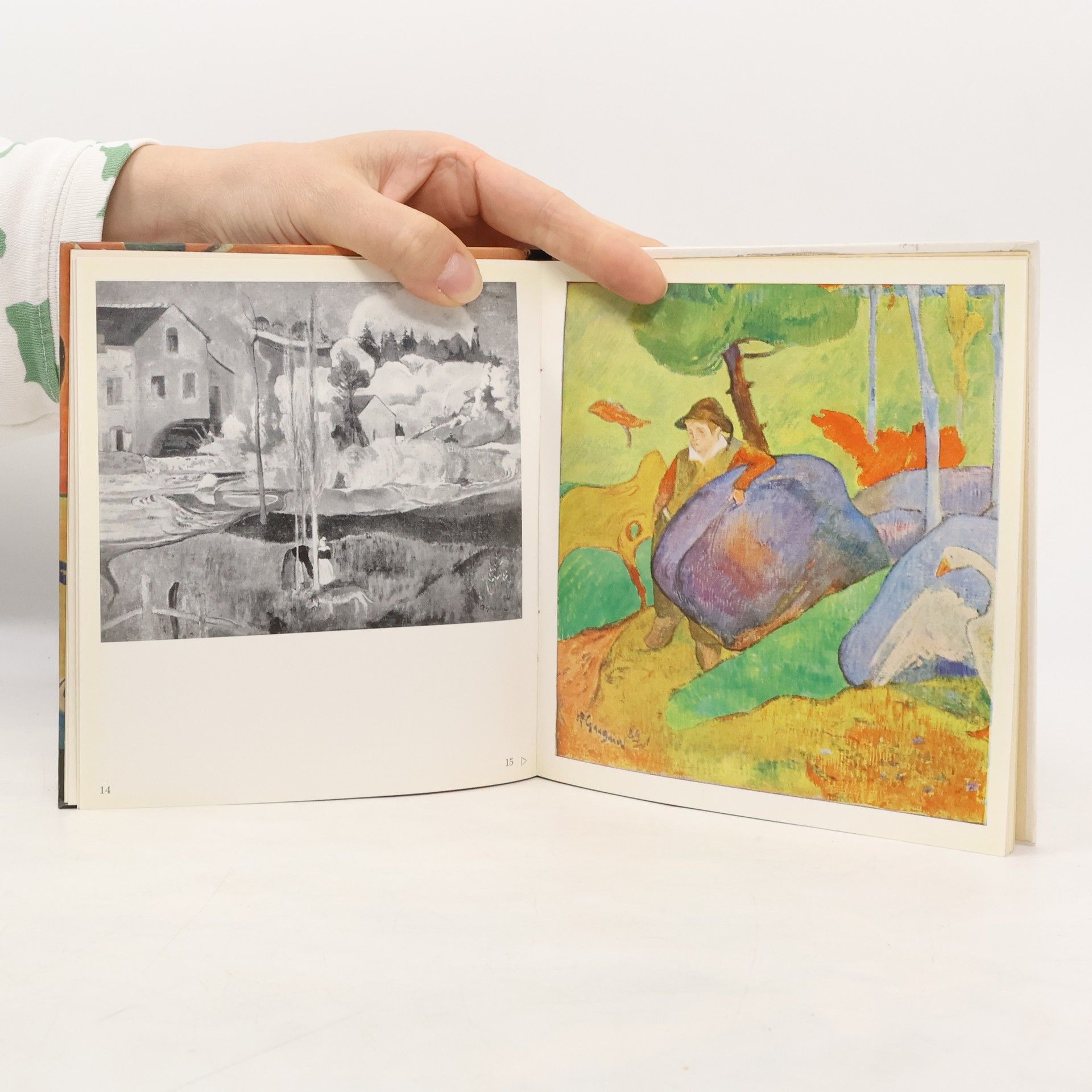 Kolektiv autorů Gauguin