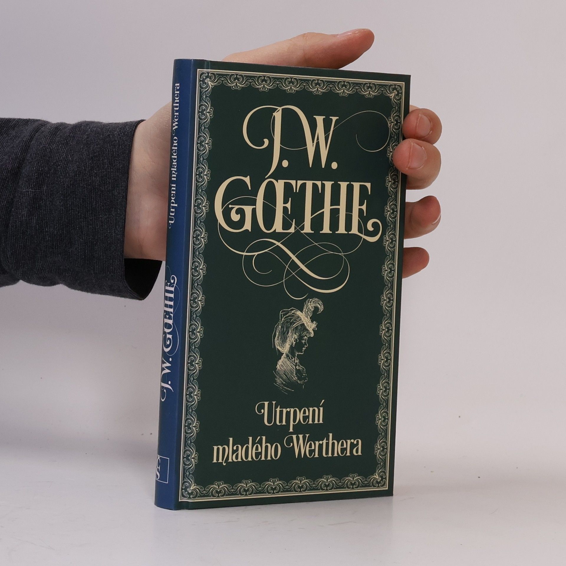 Johann Wolfgang von Goethe Utrpení mladého Werthera