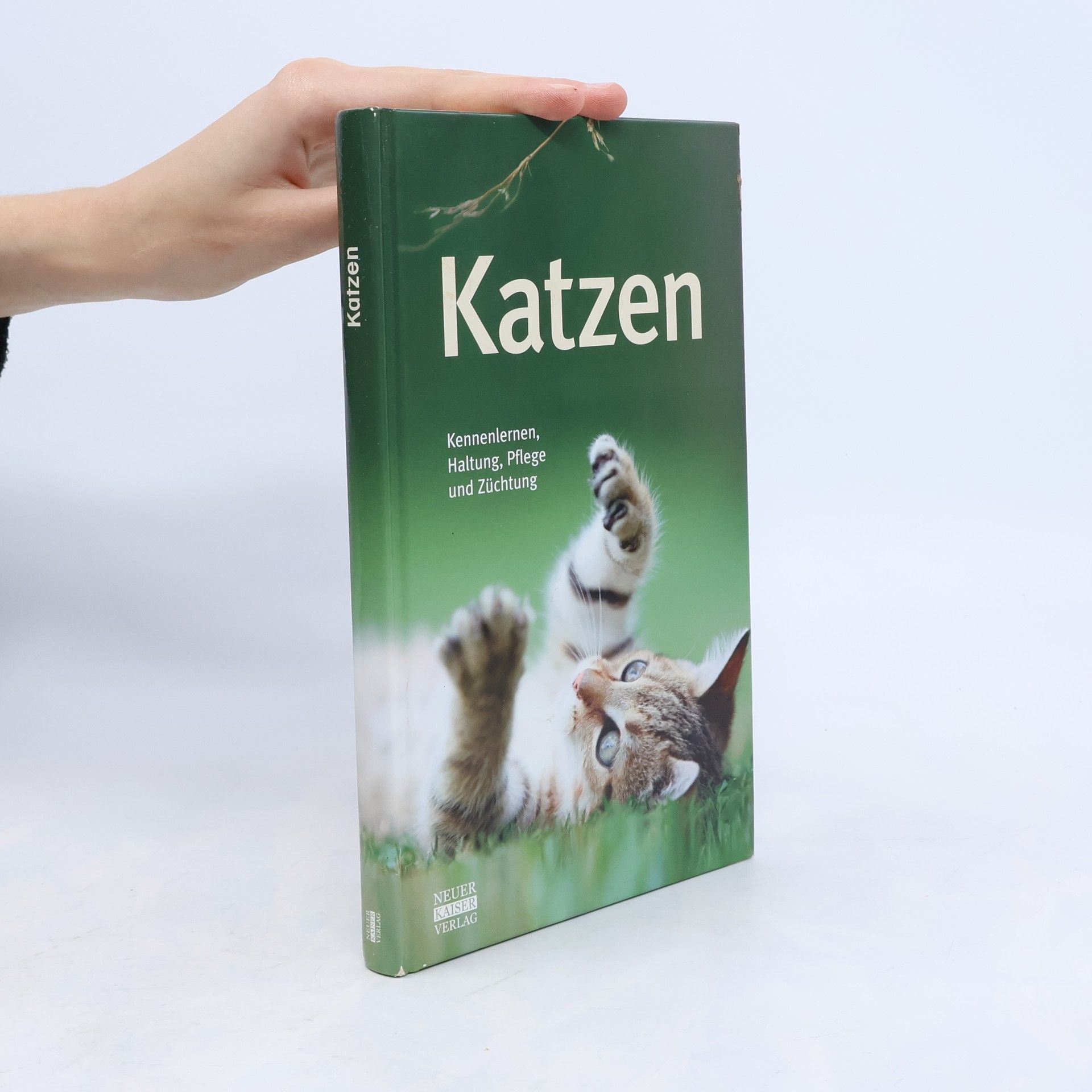 Kolektiv autorů Katzen