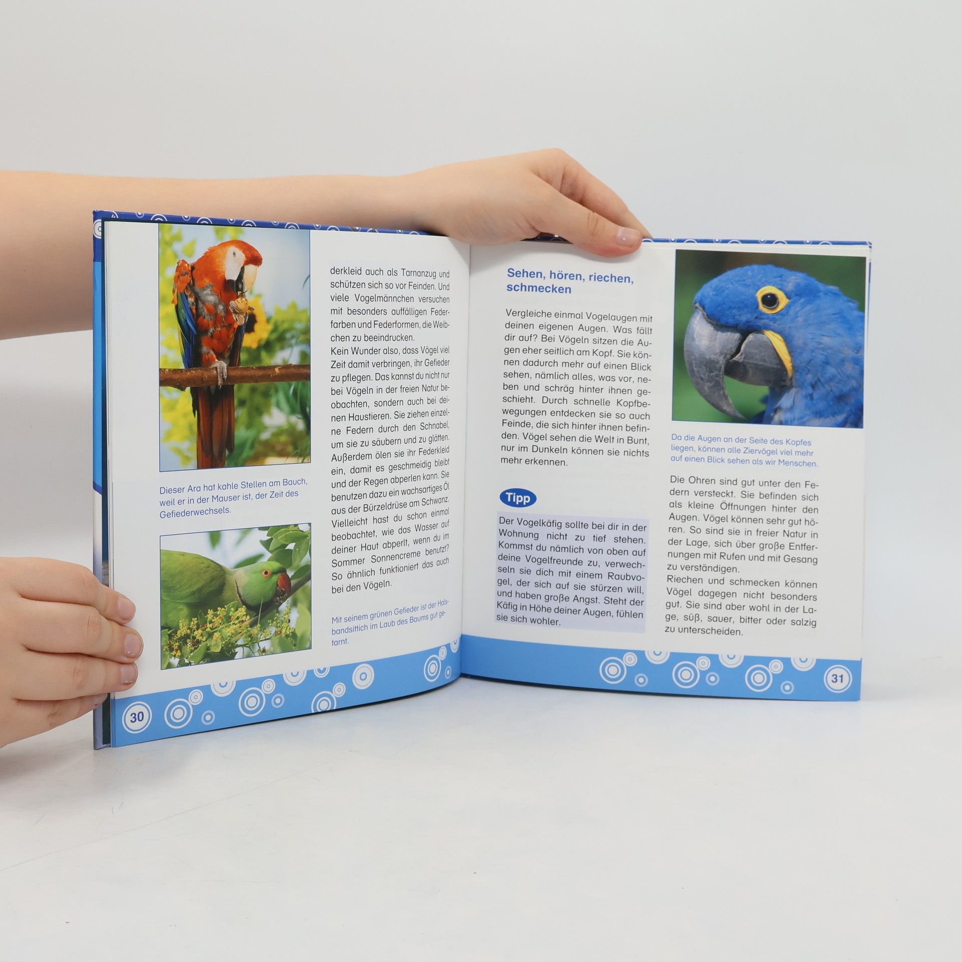 Autores varios Mein erstes Haustier: Vögel