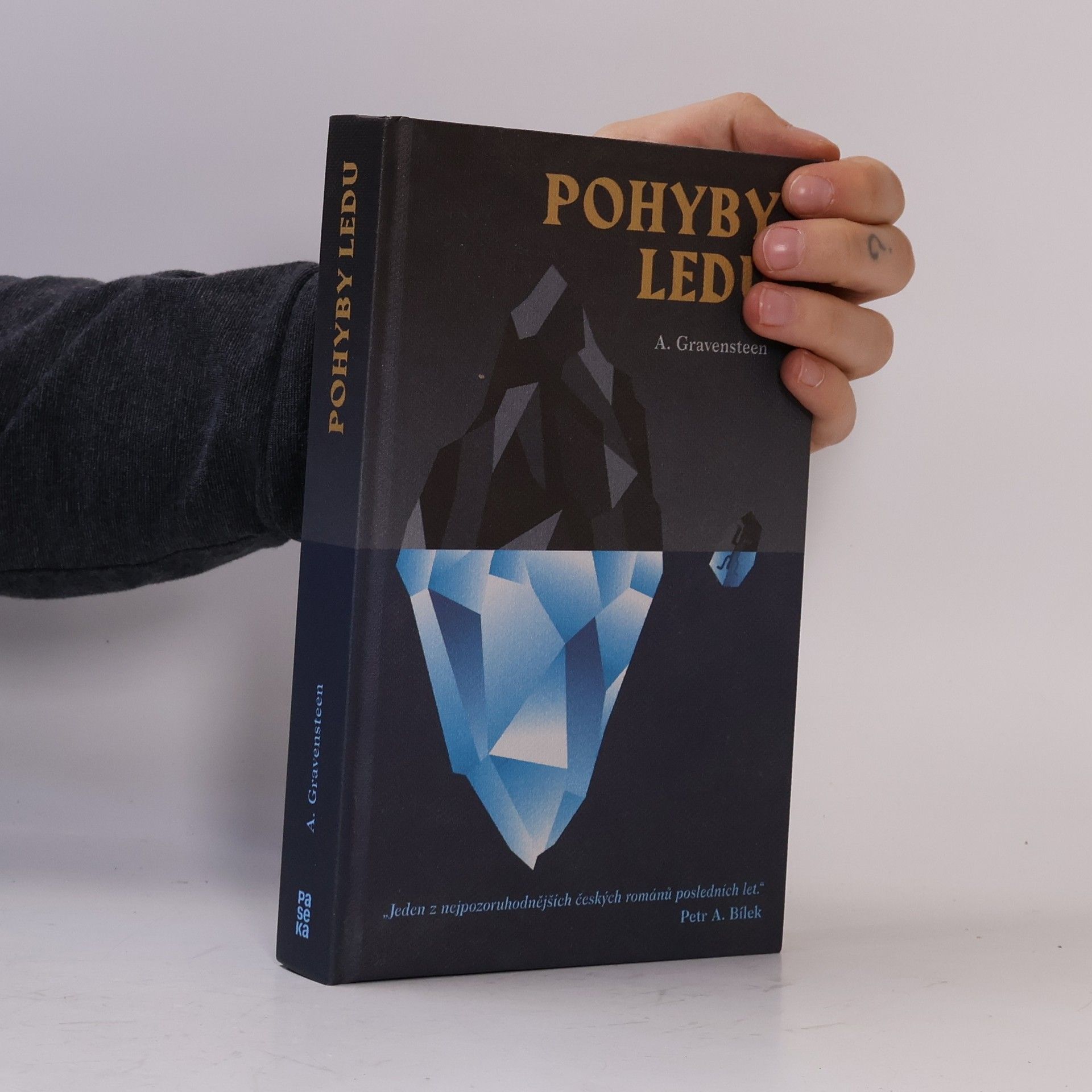 A. Gravensteen Pohyby ledu, aneb, Glaciologie pro manipuláty