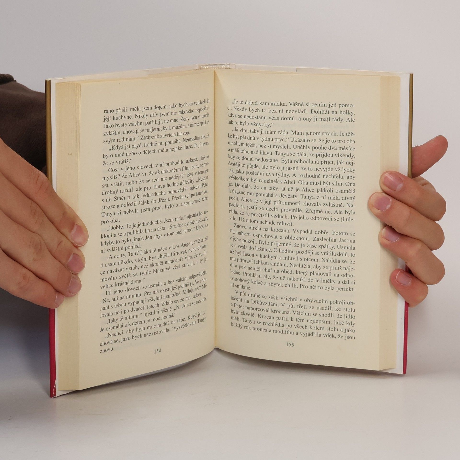 Danielle Steel Bludiště života